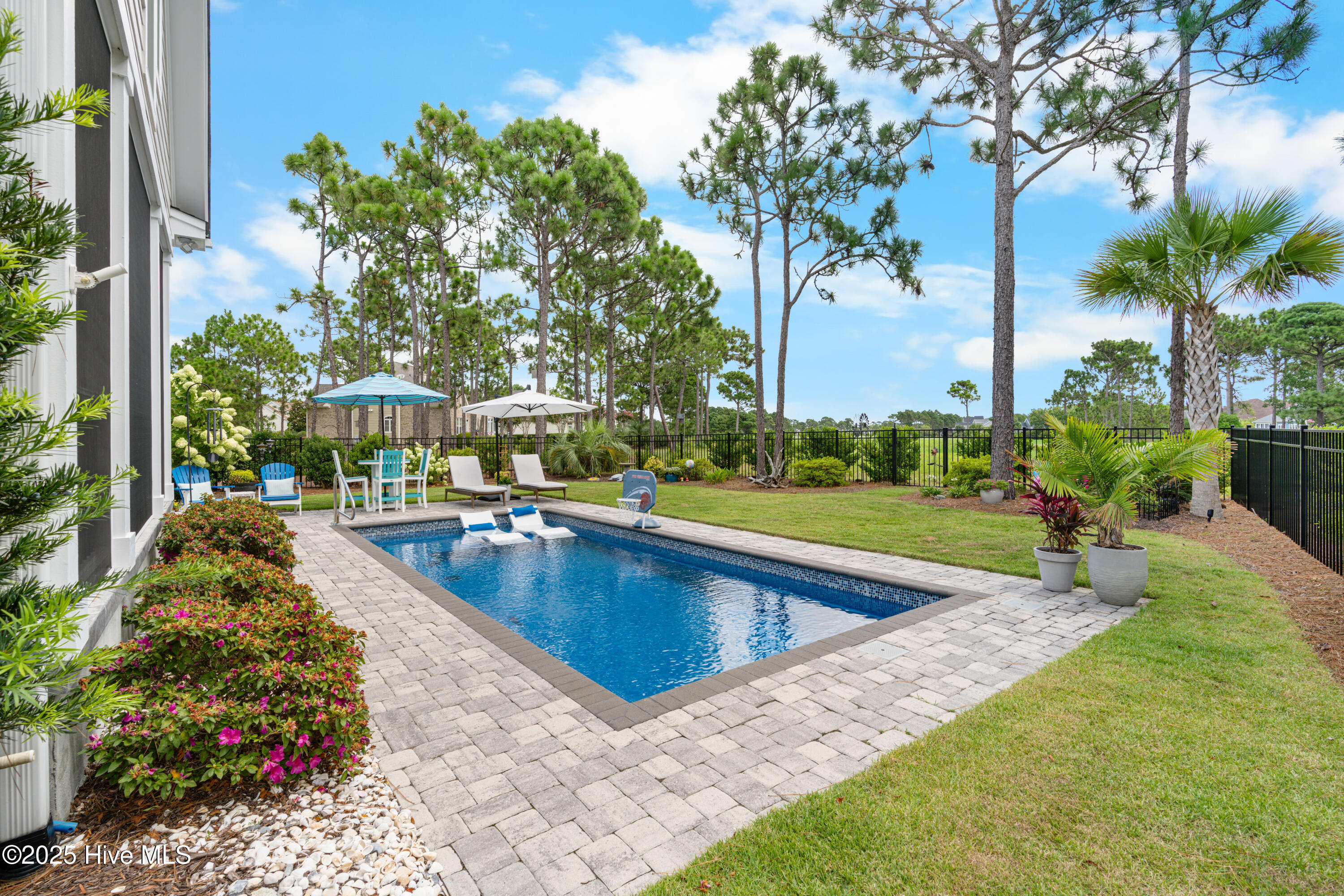 100551576 | Photo 57