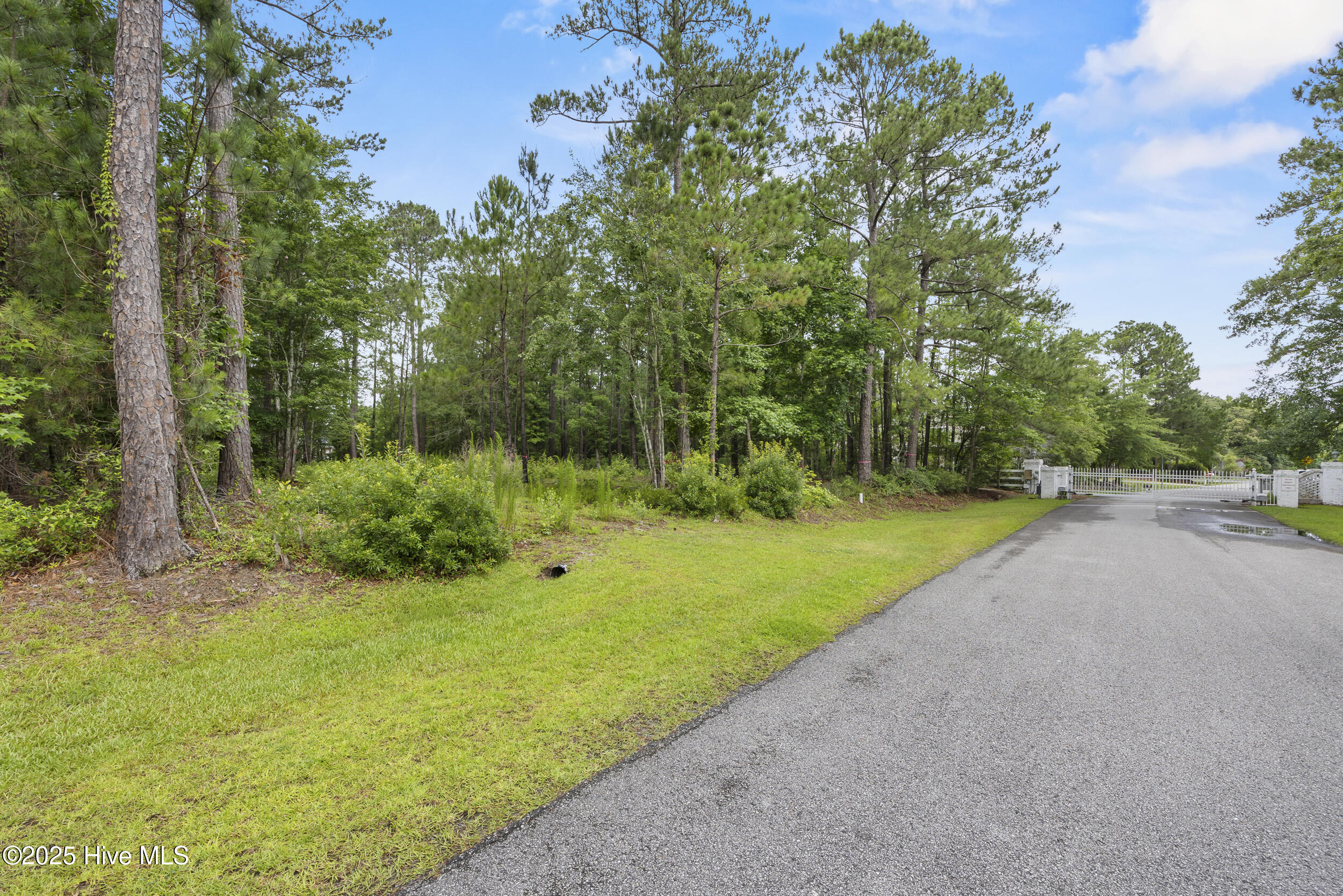 100534975 | Photo 15