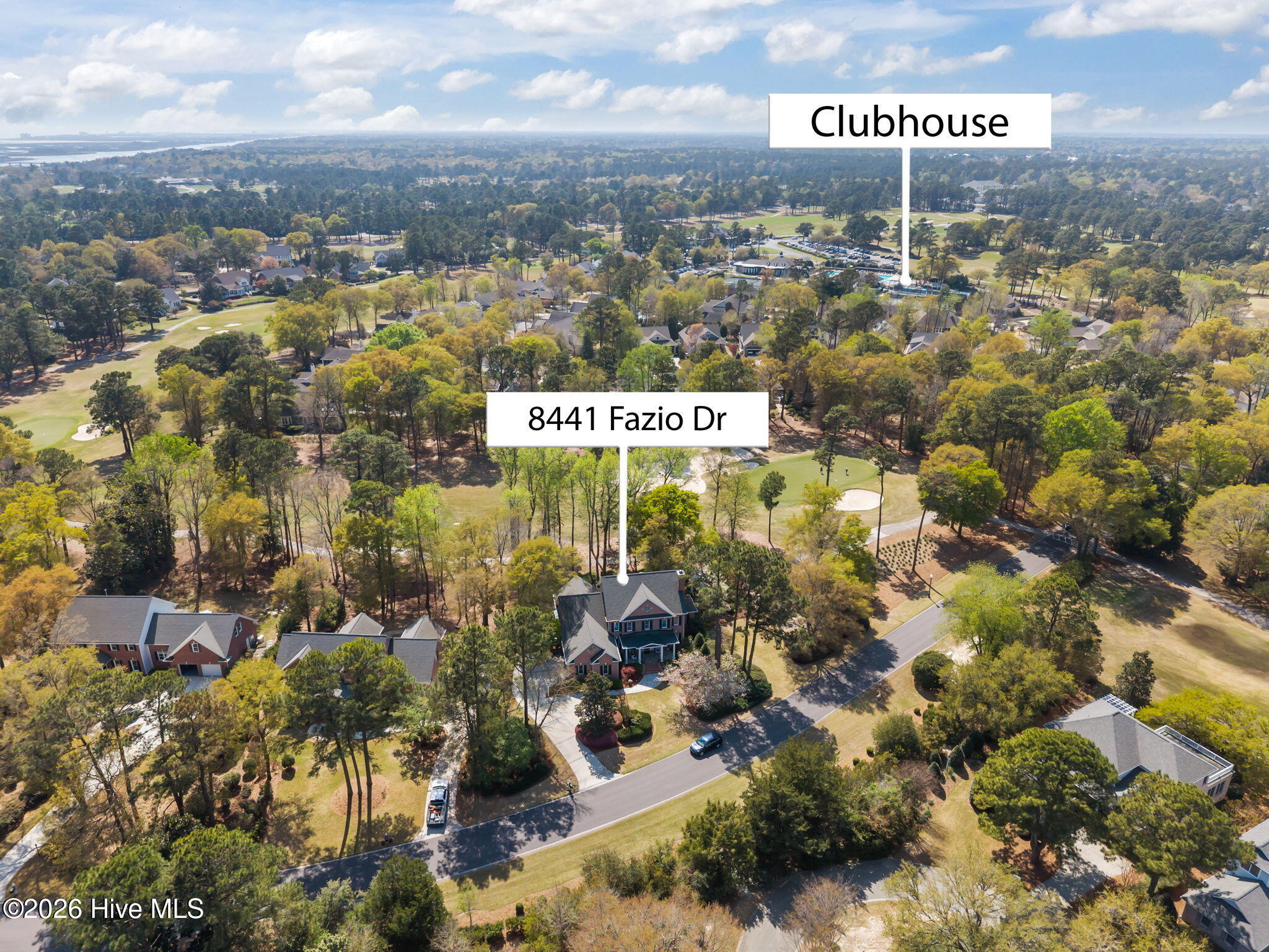 100564418 | Photo 74