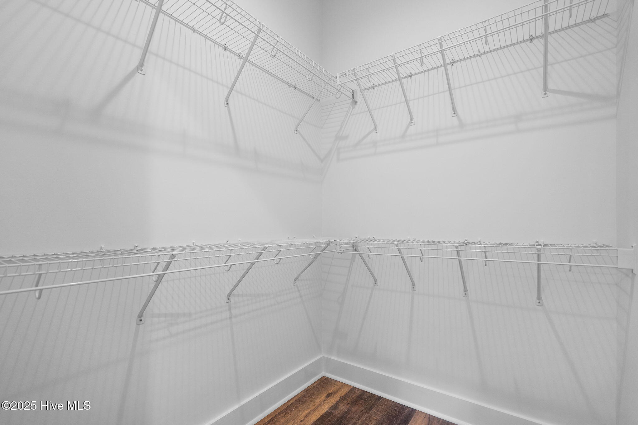 100532333 | Photo 115