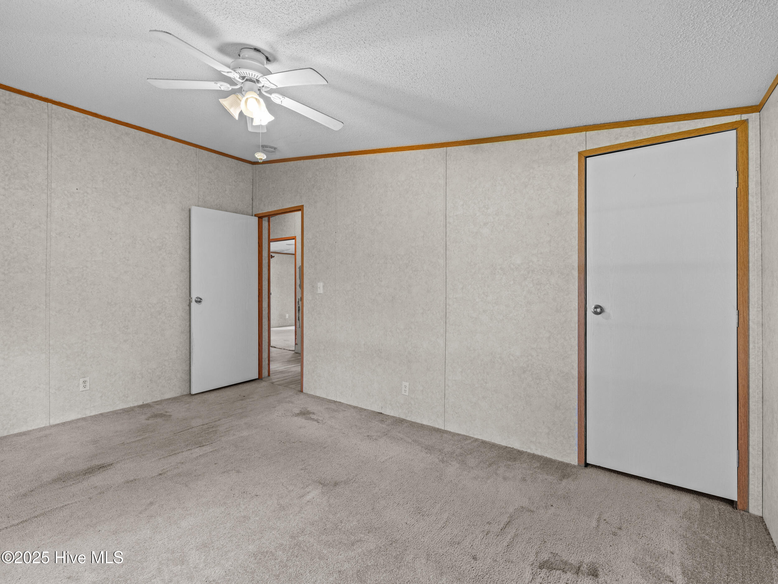 100520478 | Photo 24