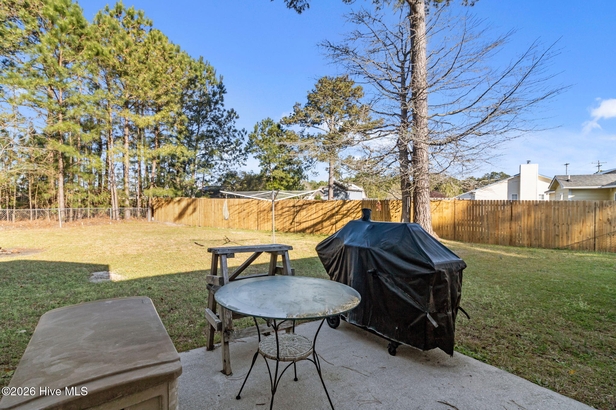 100563206 | Photo 38