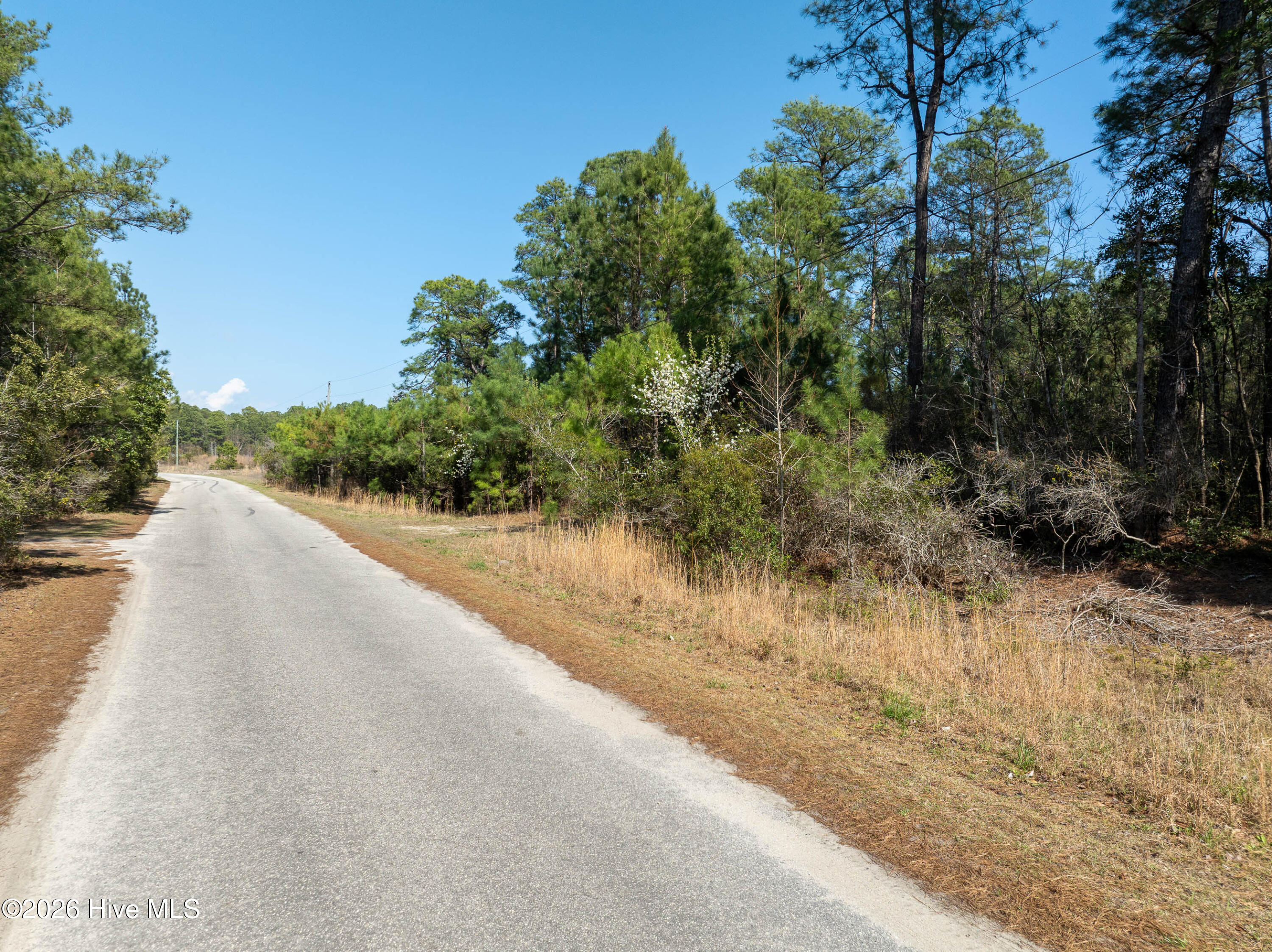 100559861 | Photo 16