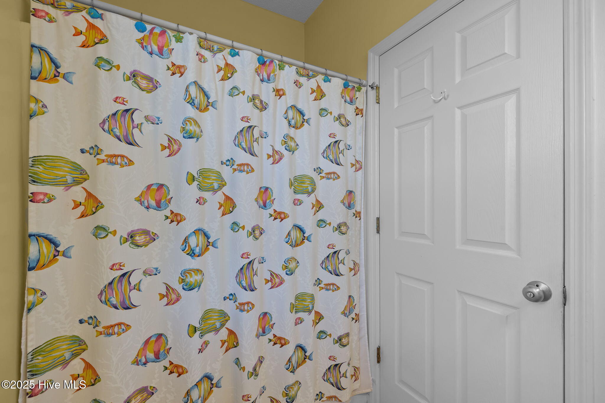 100539750 | Photo 29