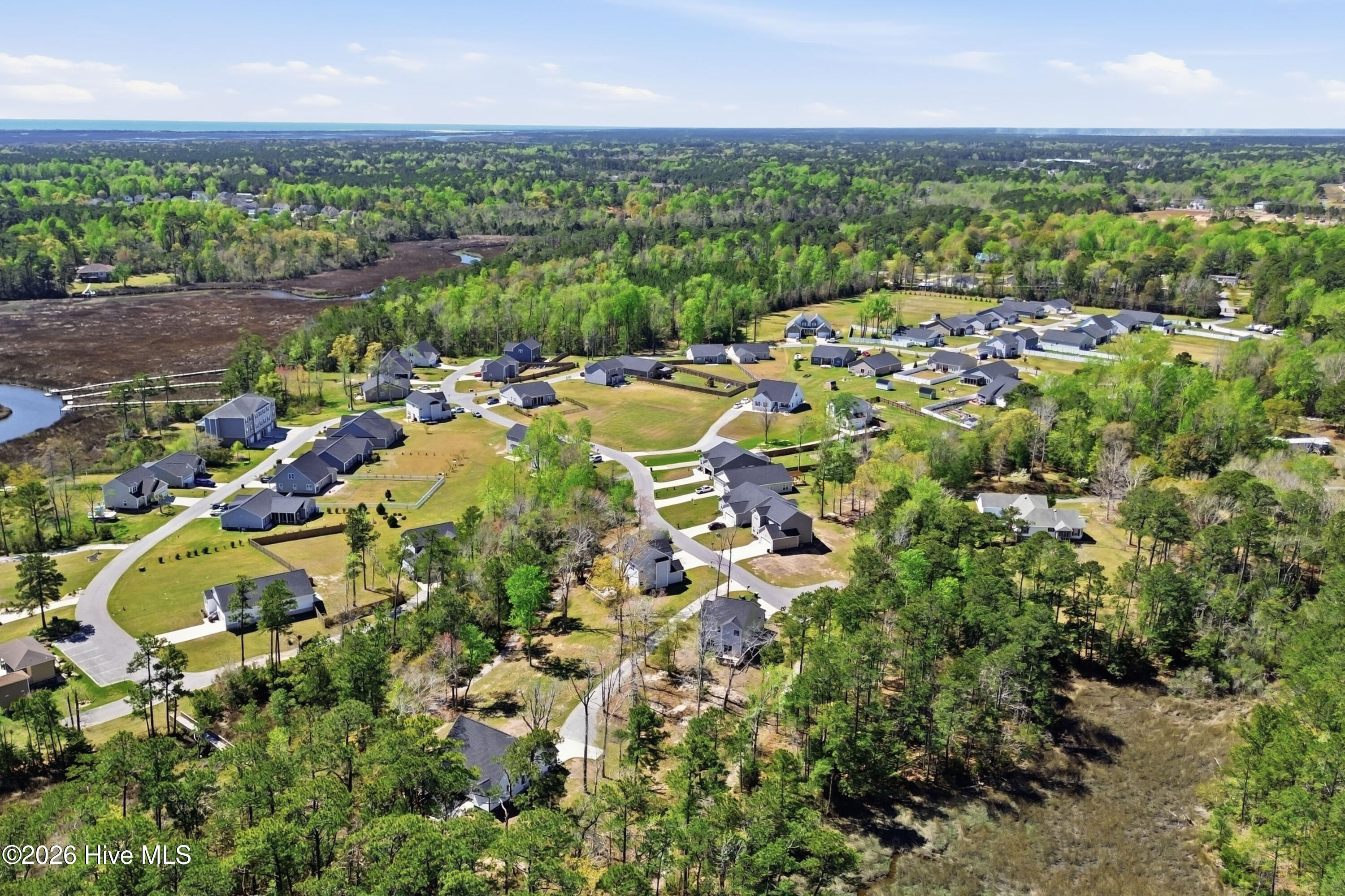 100563821 | Photo 10