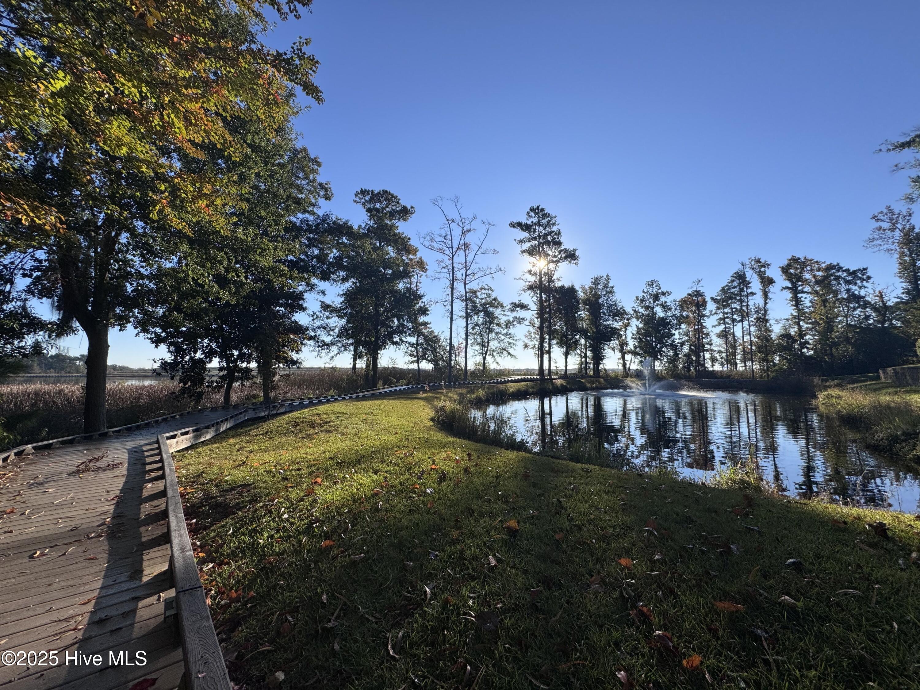 100539282 | Photo 35