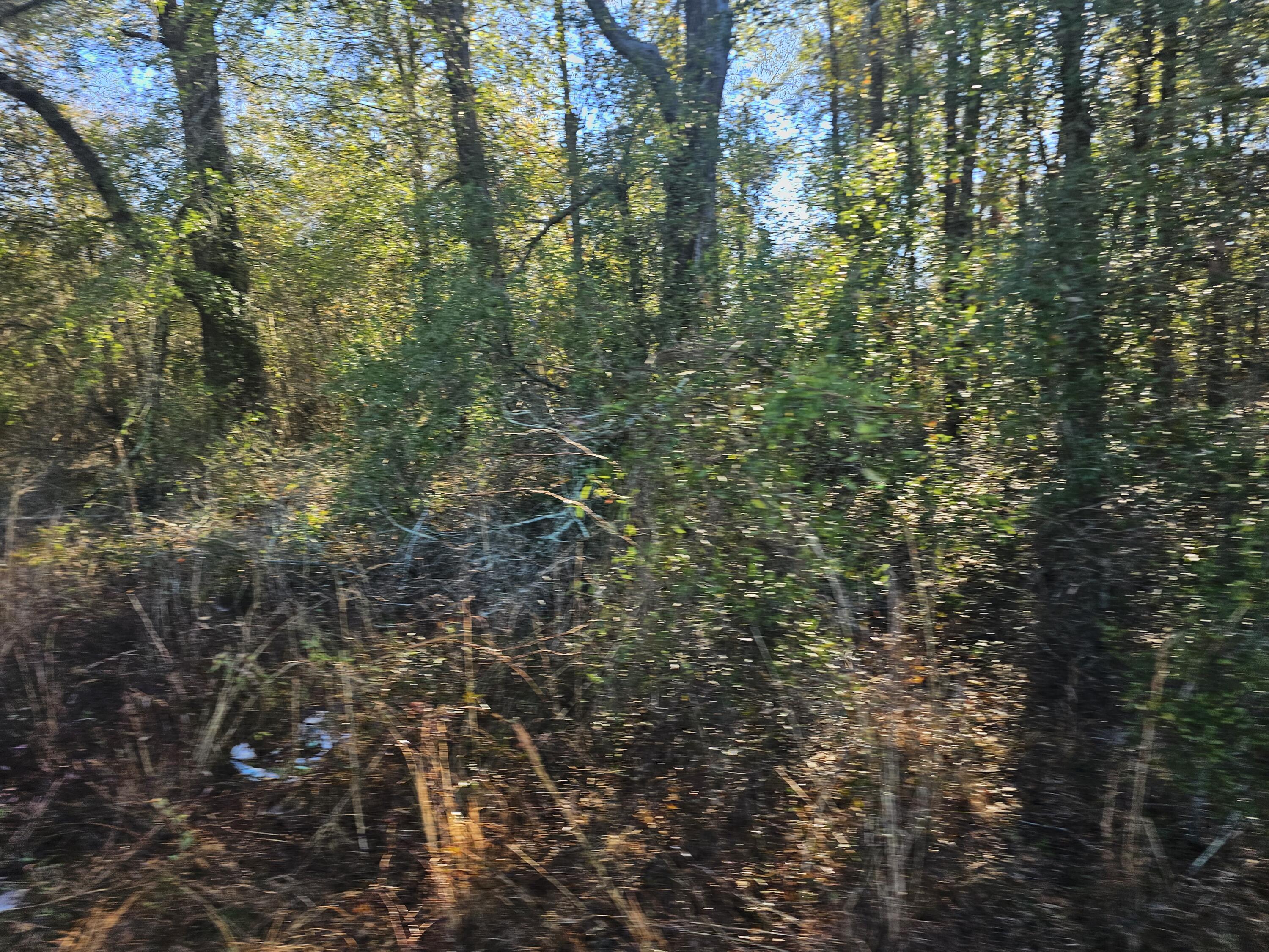 Homes for sale in Waynesboro, GA | 01 River Rd, Waynesboro, GA 30830 | MLS# 552645