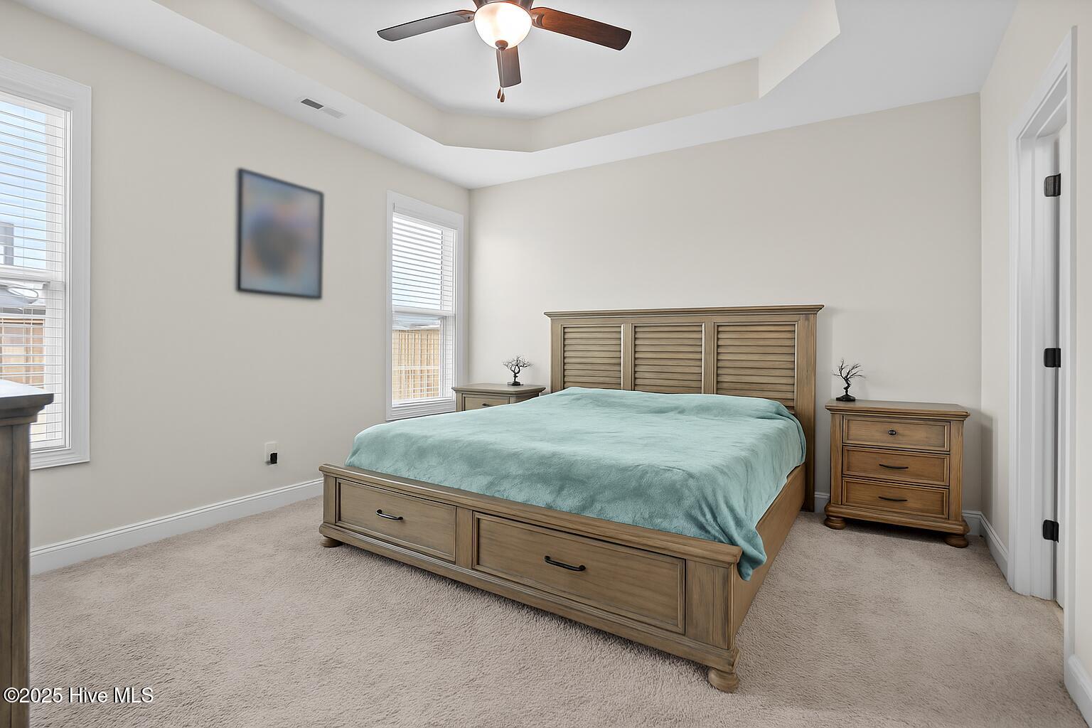 3990 Eclipse Avenue, Leland, NC 28451 – photo 14: 11-primary_bed_windows