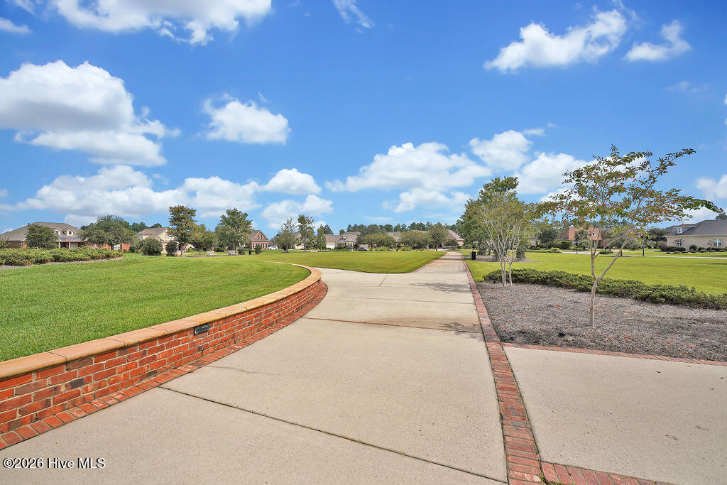 100565235 | Photo 165