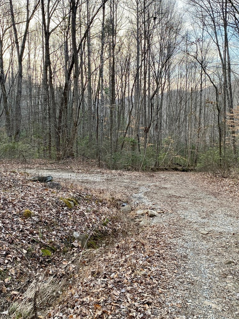 Exterior photo of 00 Carringer Road, Robbinsville, NC 28771. MLS: 98524216