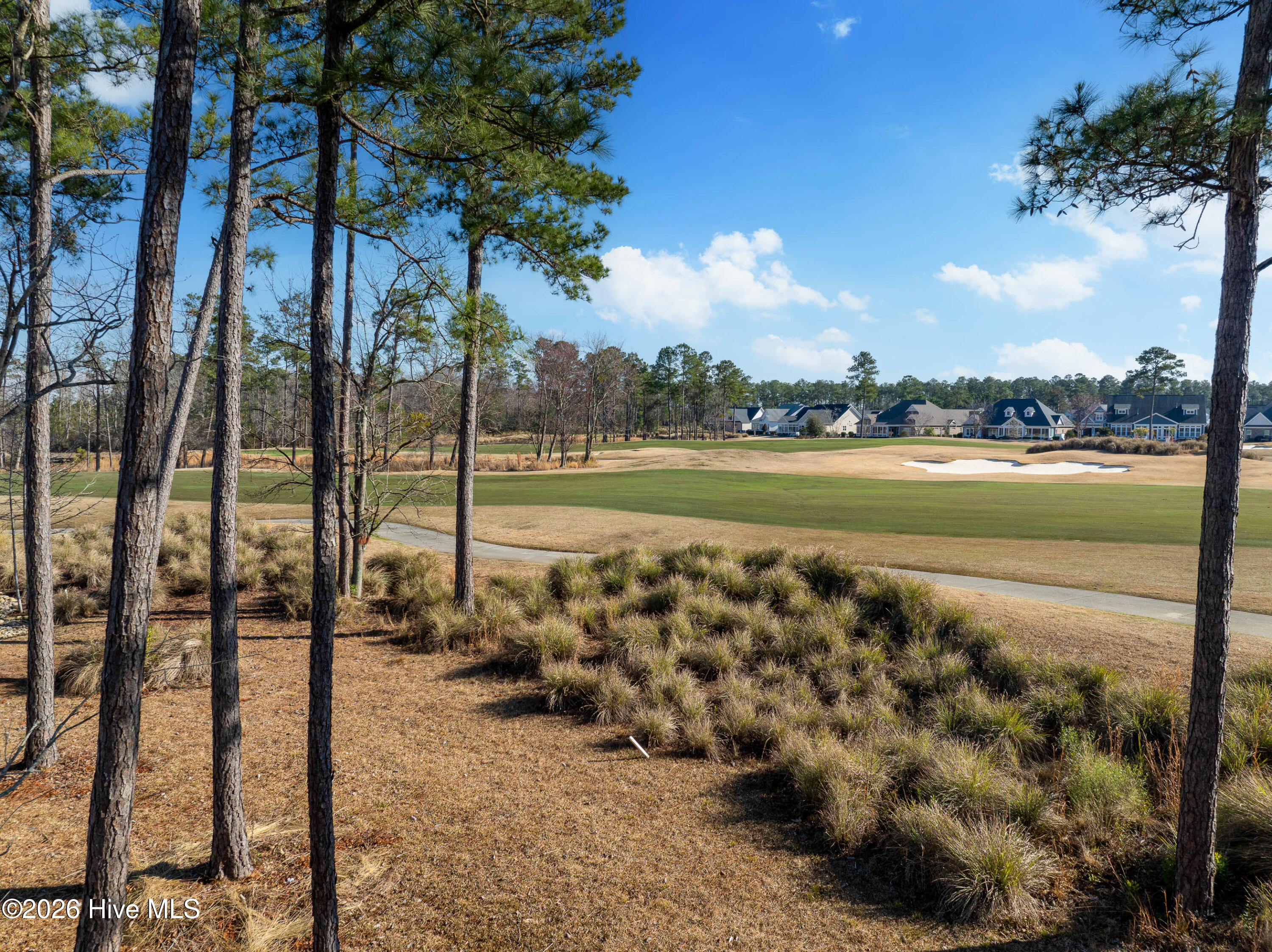 100557146 | Photo 14