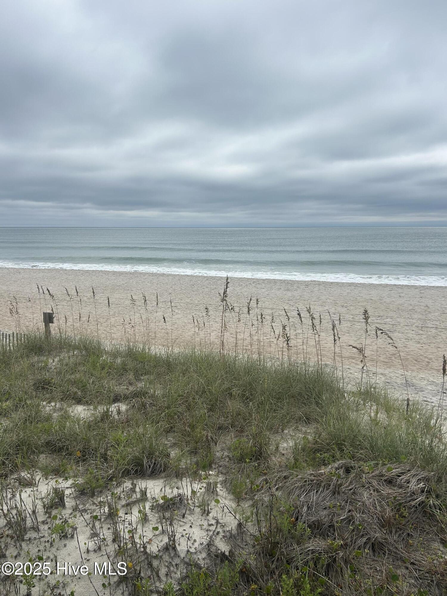 100529983 | Photo 48