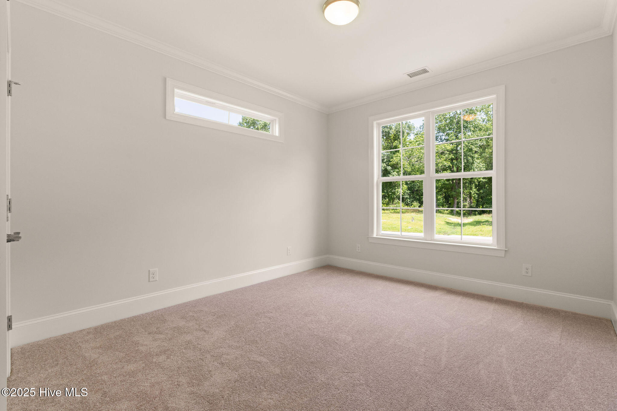 100530000 | Photo 54