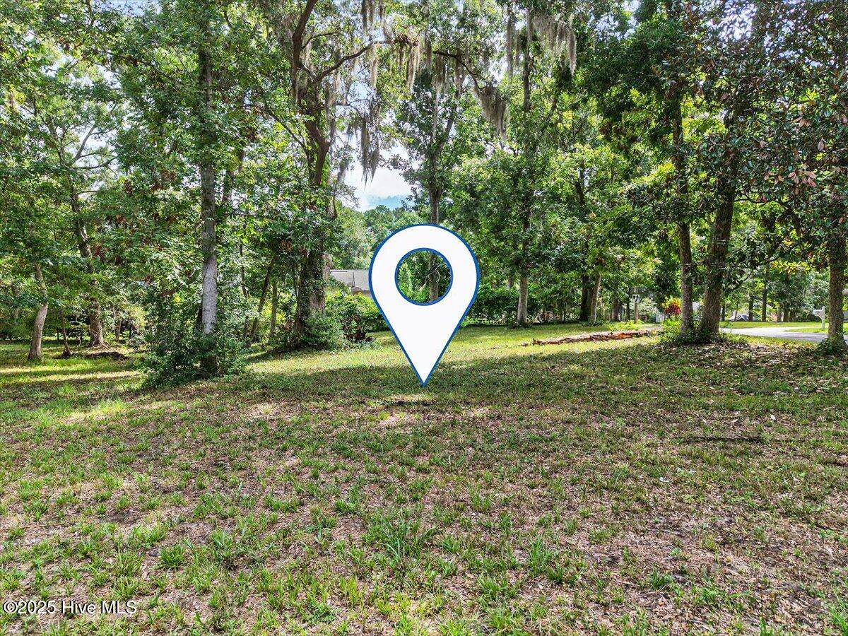 100481570 | Photo 15