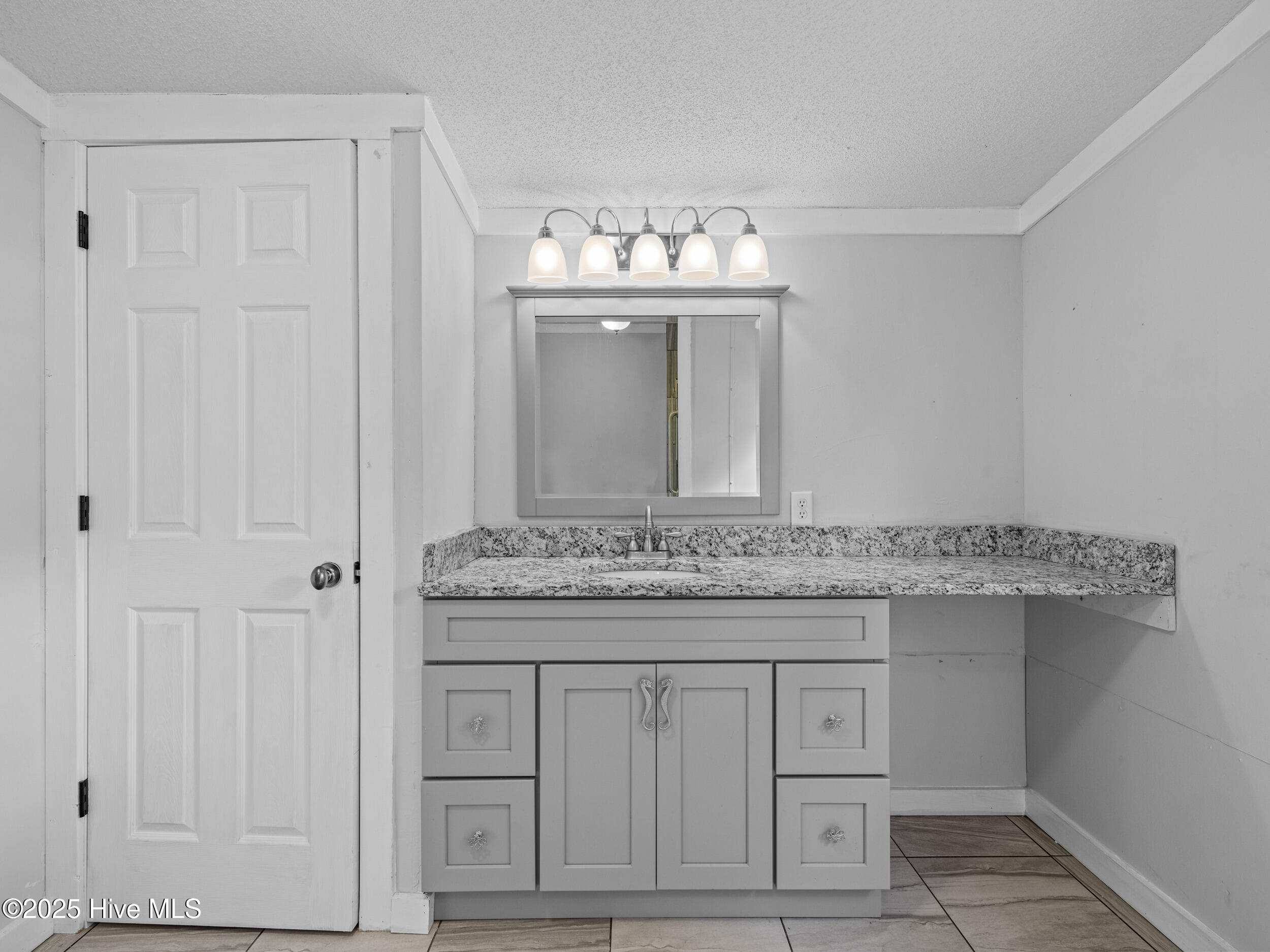 100520478 | Photo 18