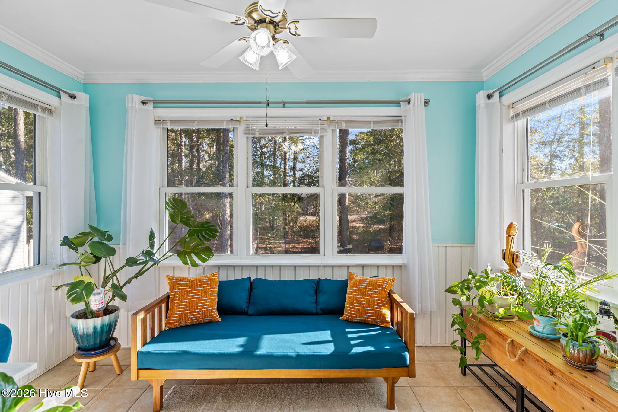 100557804 | Photo 11