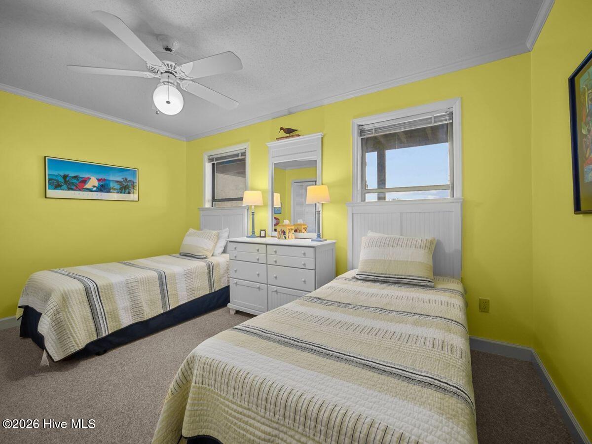 100556202 | Photo 28