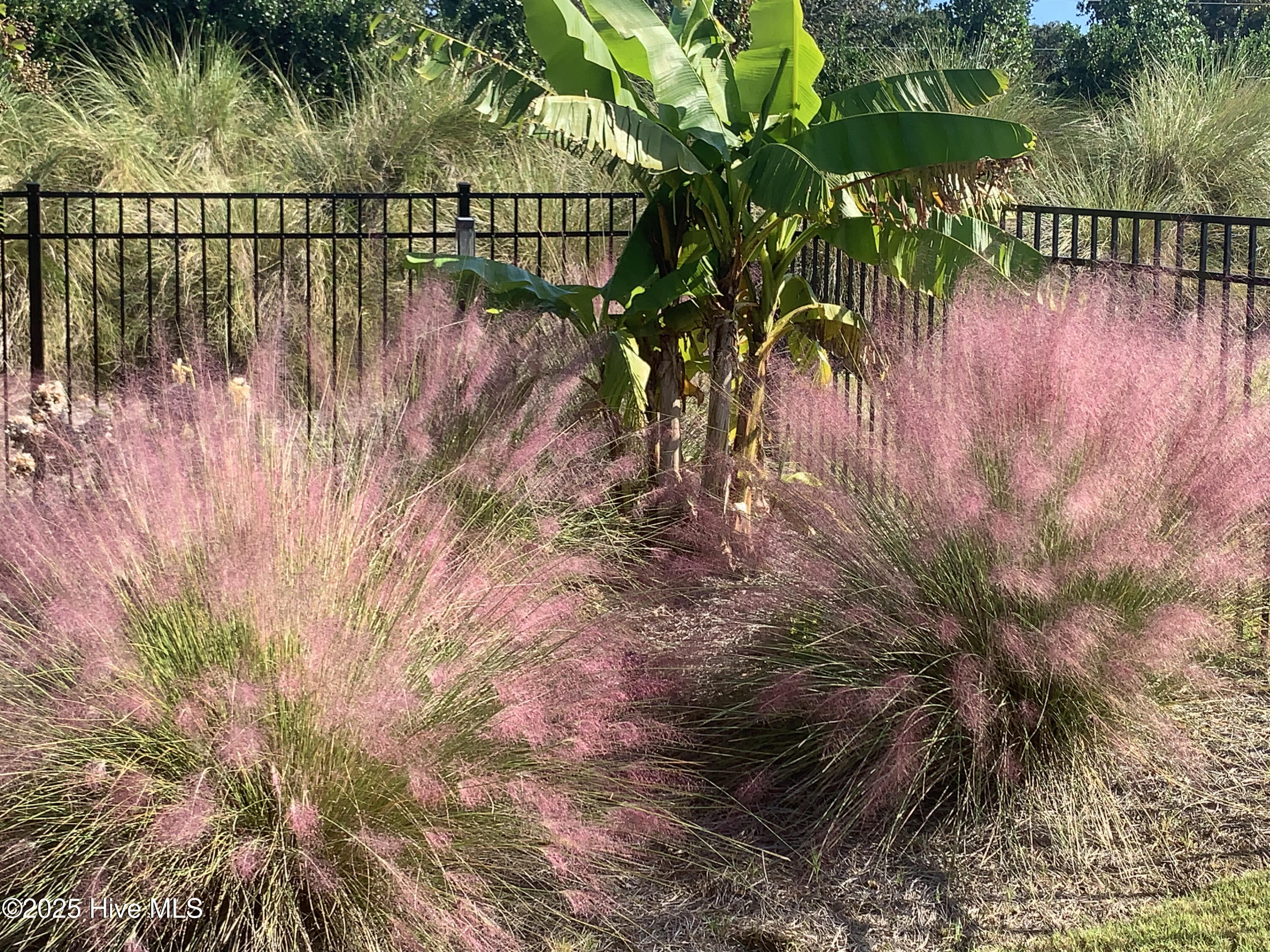 100545282 | Photo 67