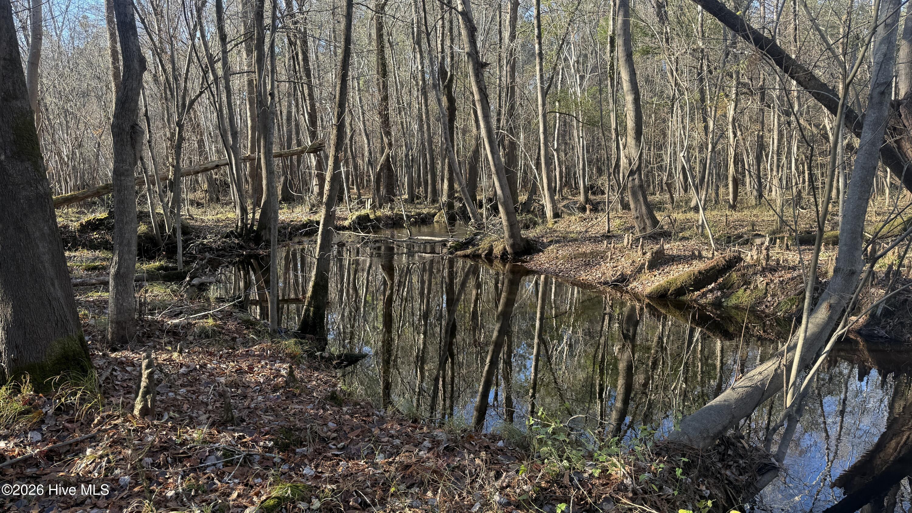 100556794 | Photo 34