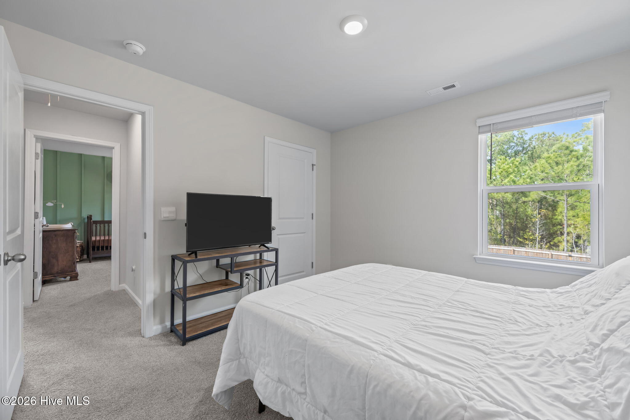 100559787 | Photo 31