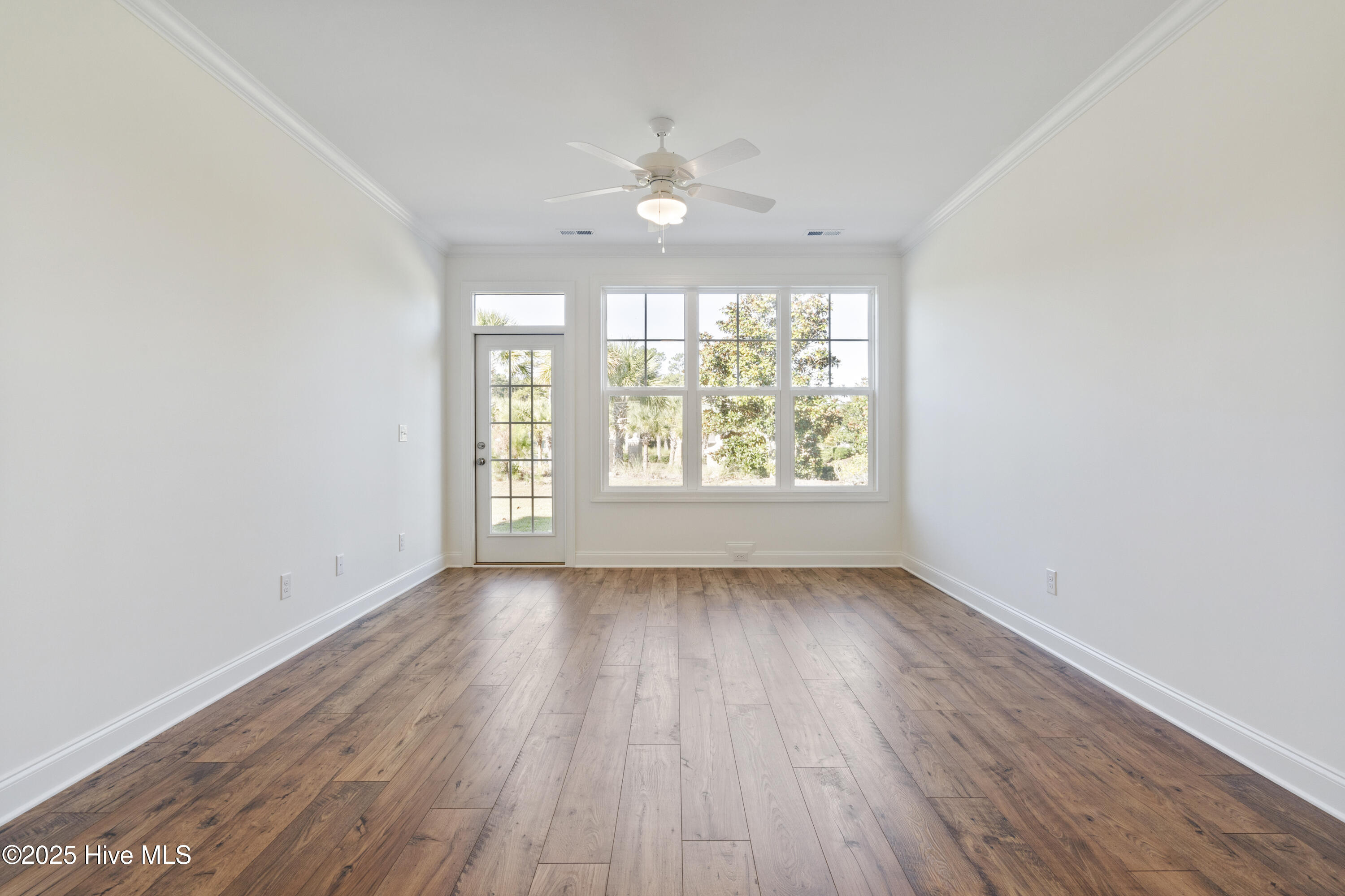 100537559 | Photo 21