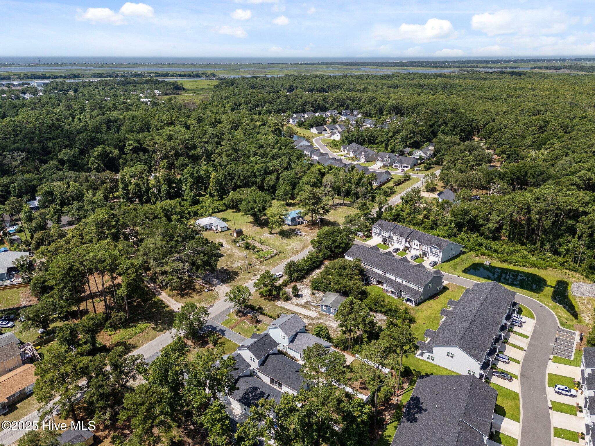 100517876 | Photo 21