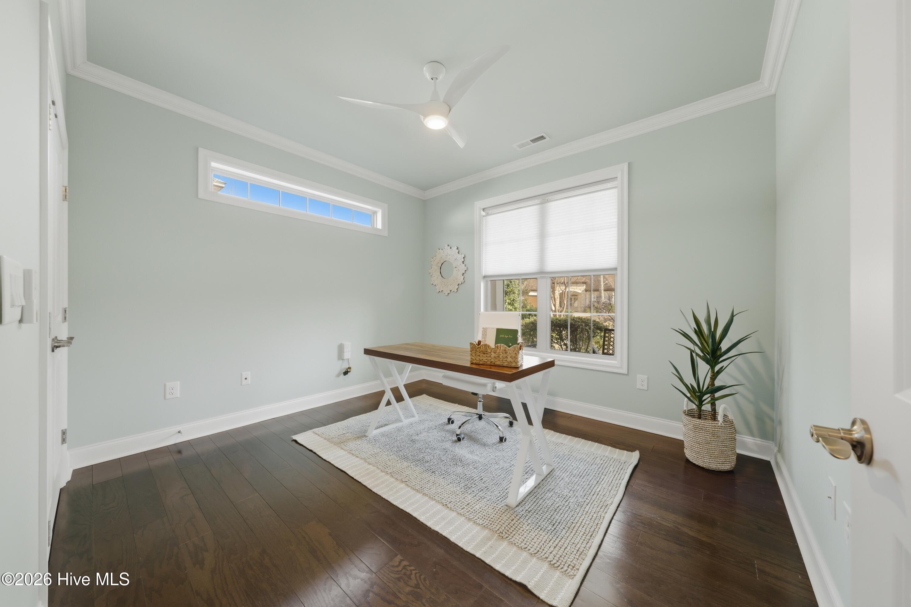 100558541 | Photo 11