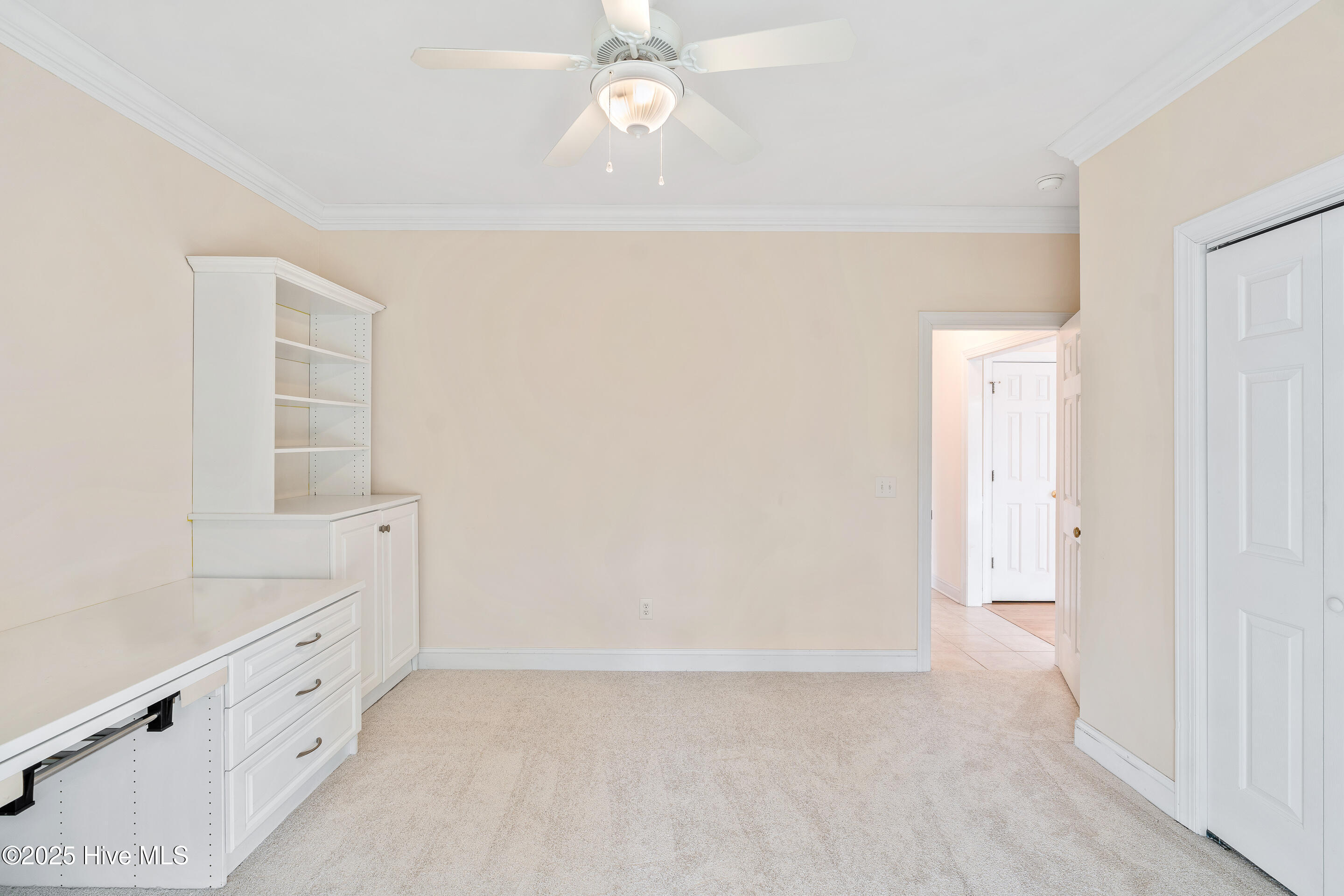 100499709 | Photo 39