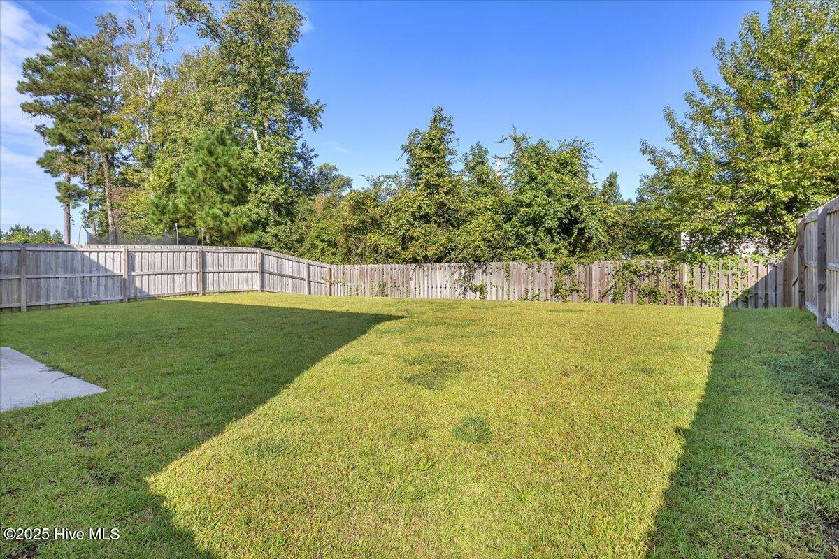 100532836 | Photo 30