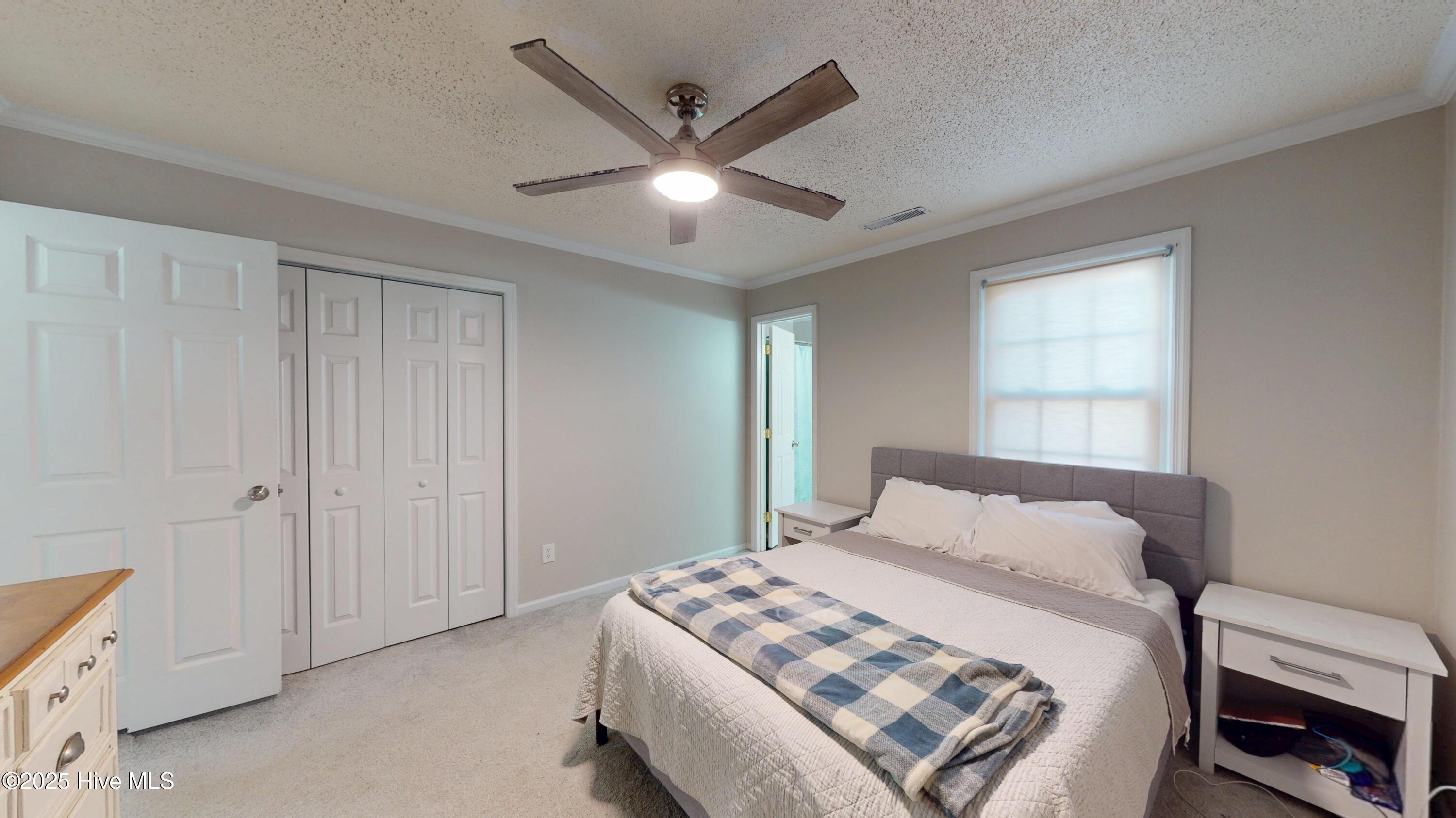 100546181 | Photo 16