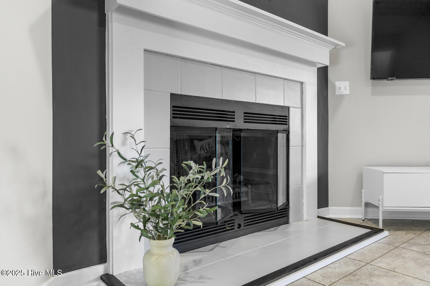 100535668 | Photo 17