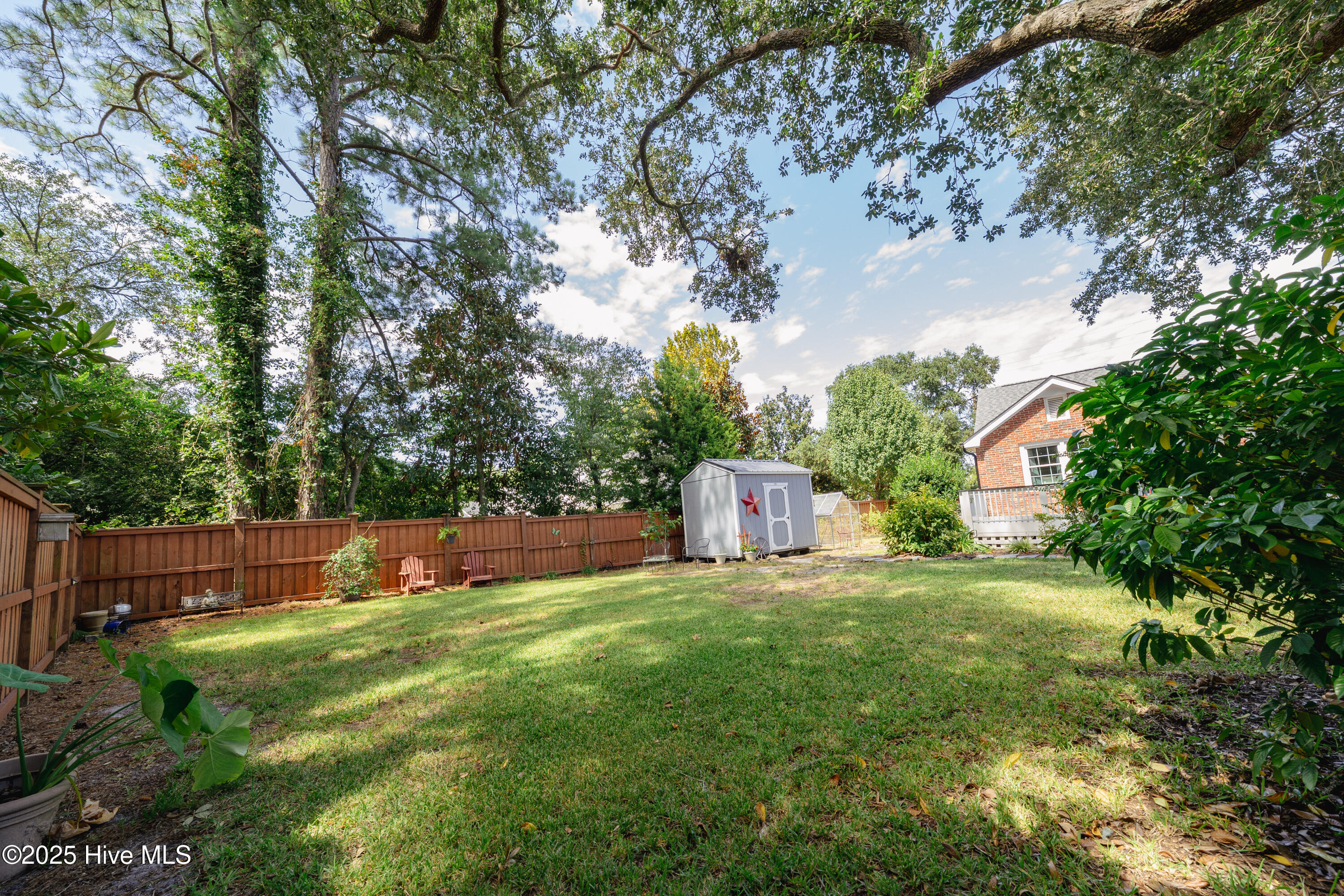 100557788 | Photo 24