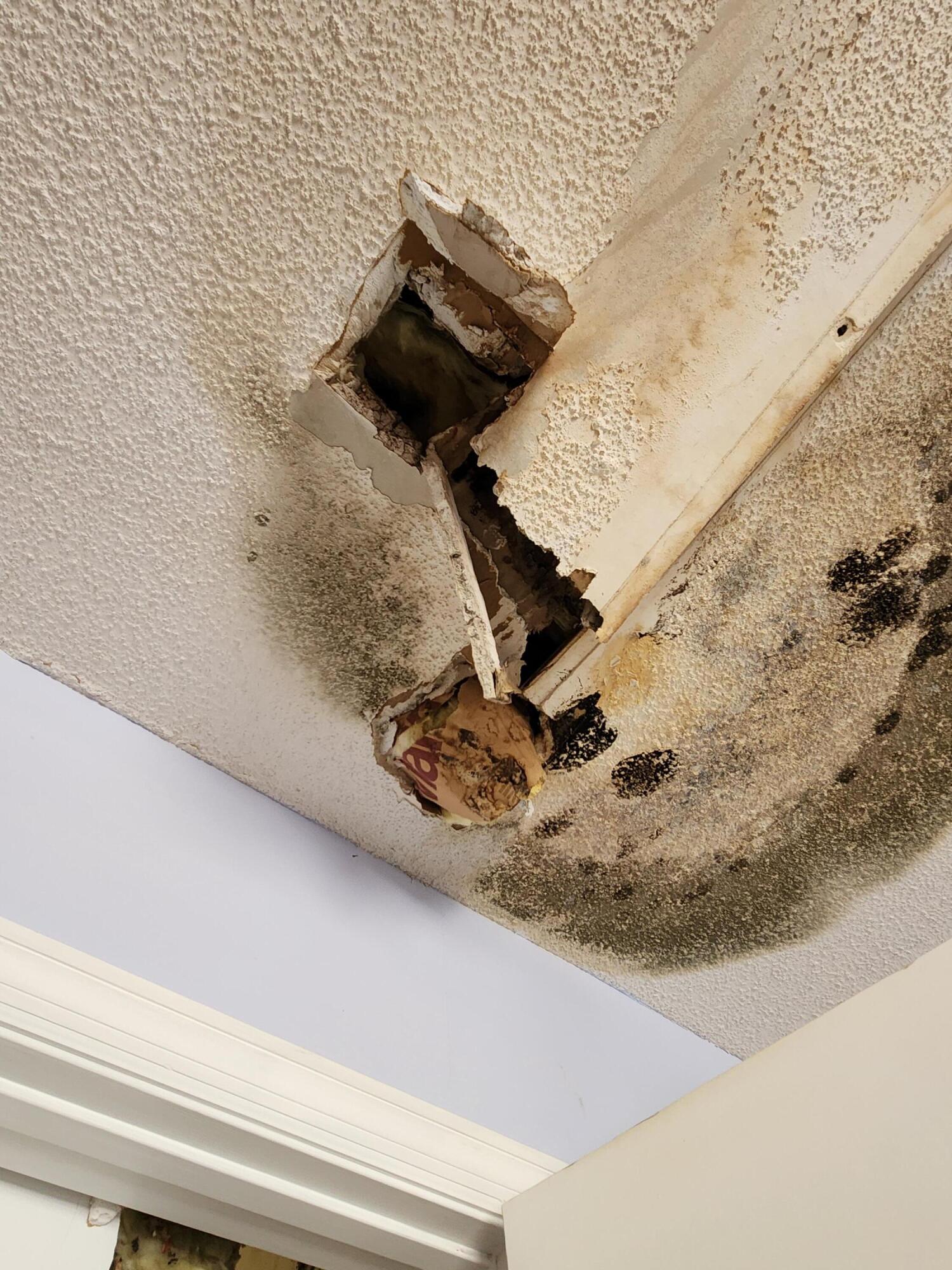 385 W Trippe Street, Harlem, GA, 30814