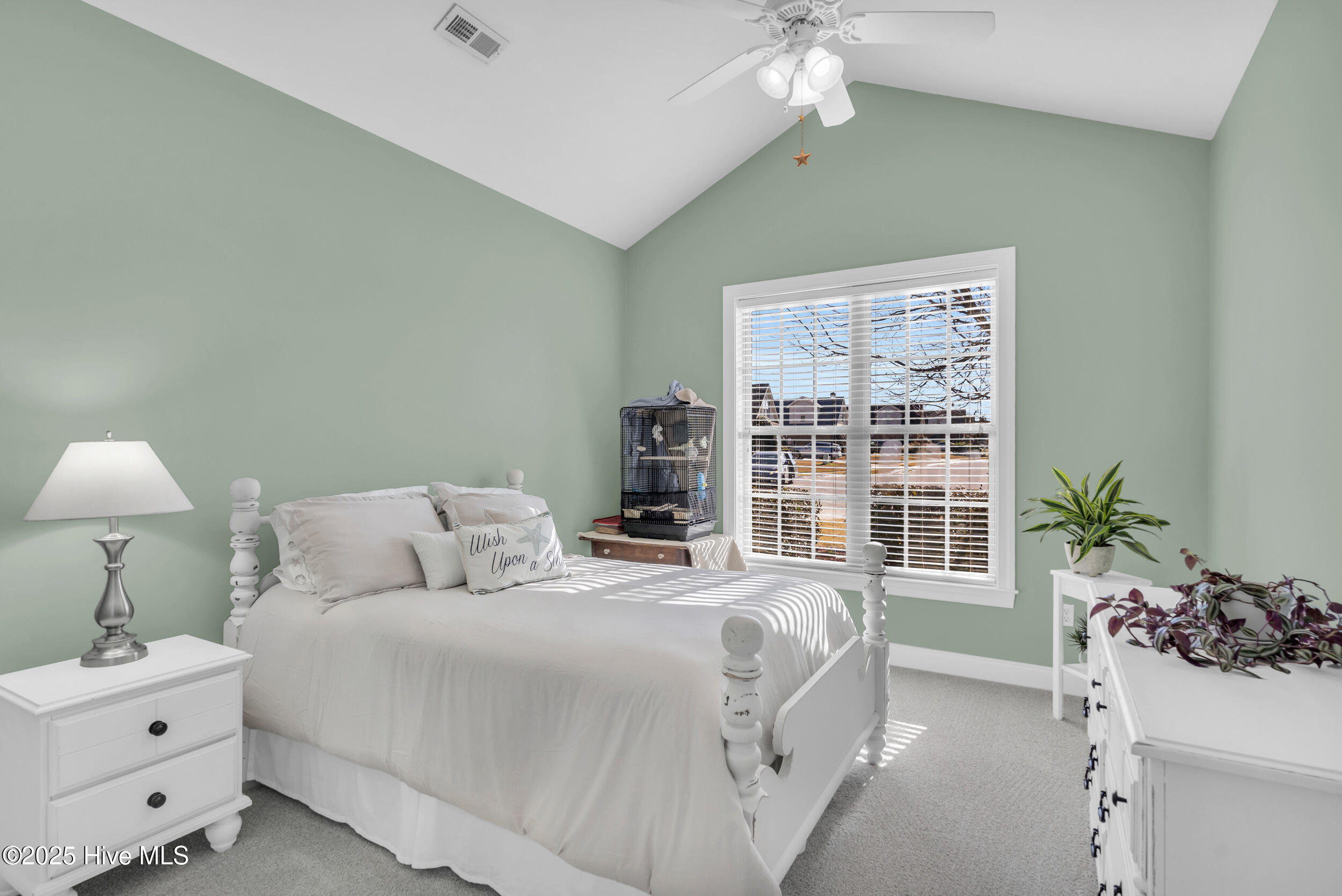 100543526 | Photo 25