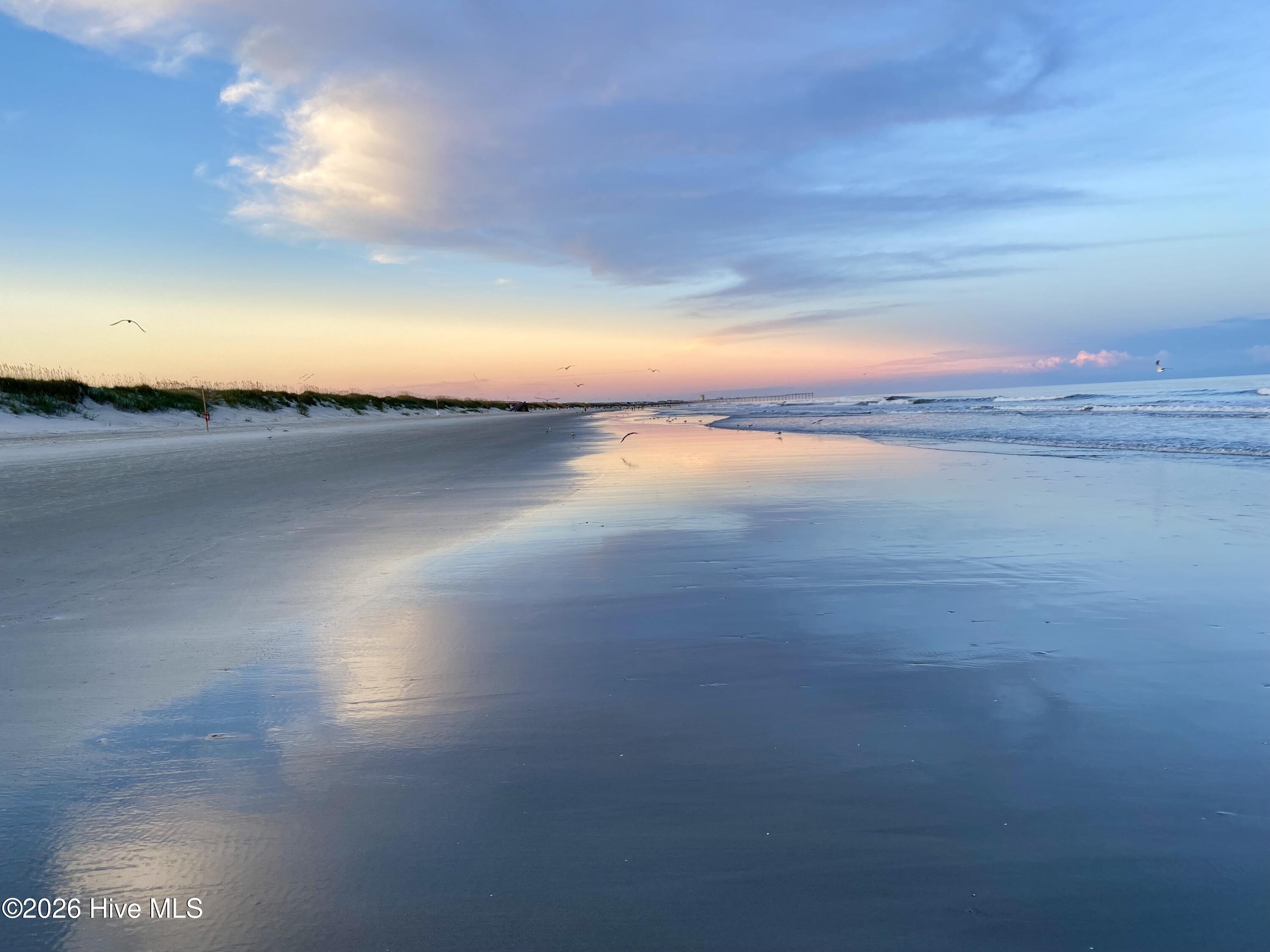 100567437 | Photo 25