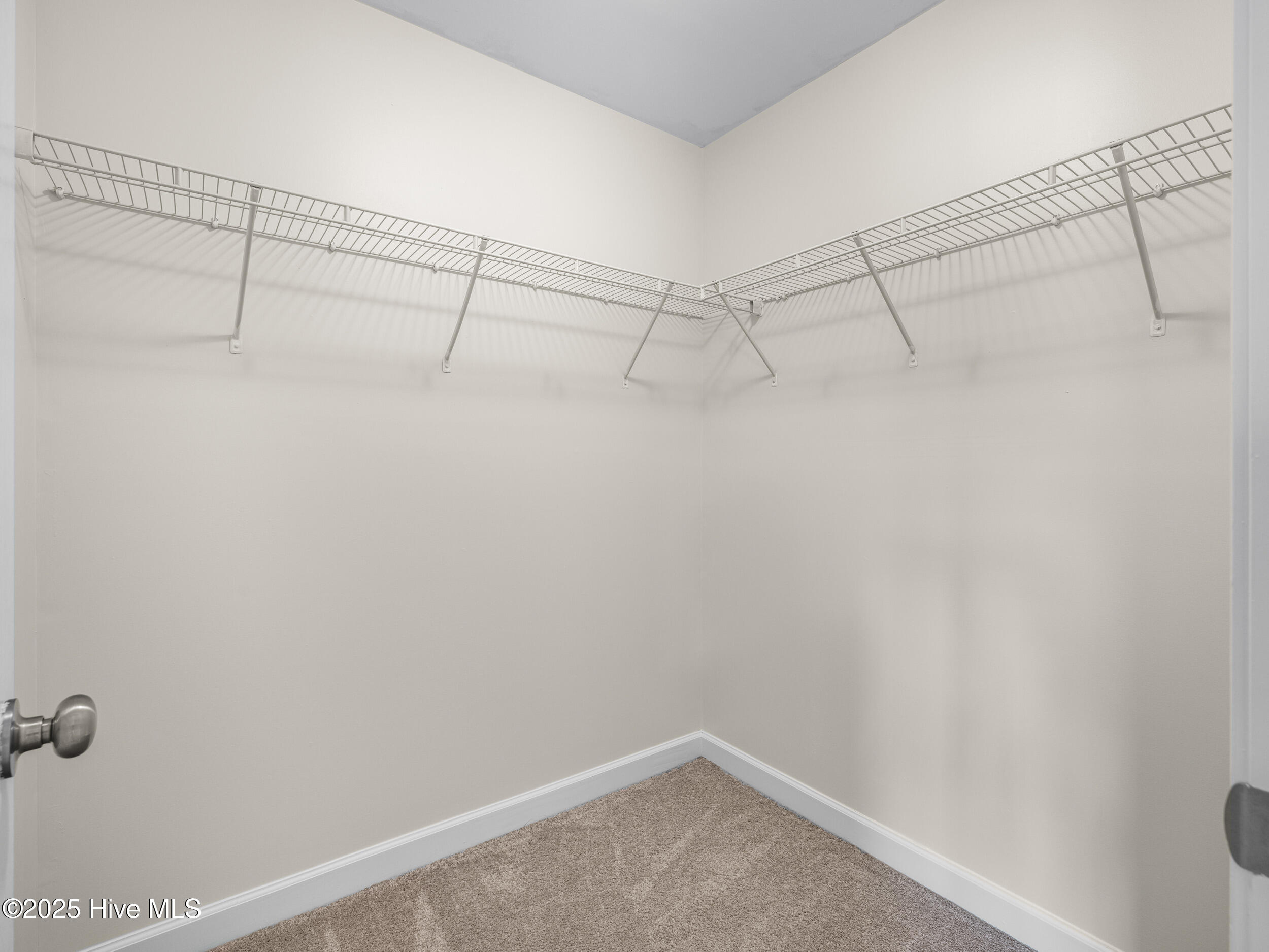 100533825 | Photo 30