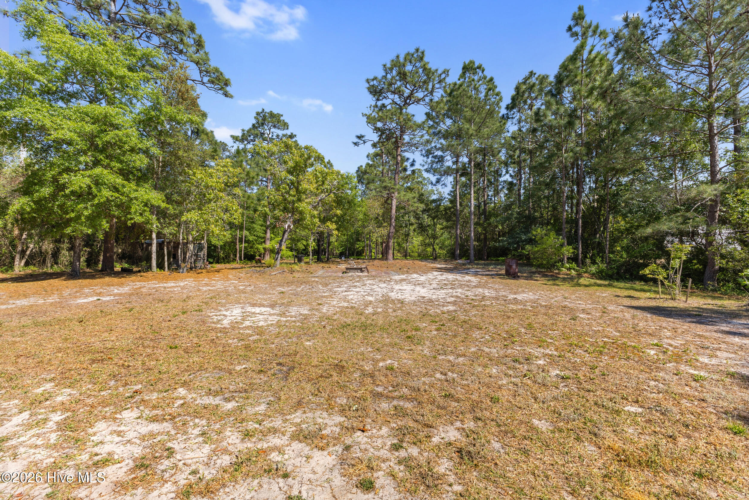 100569196 | Photo 34