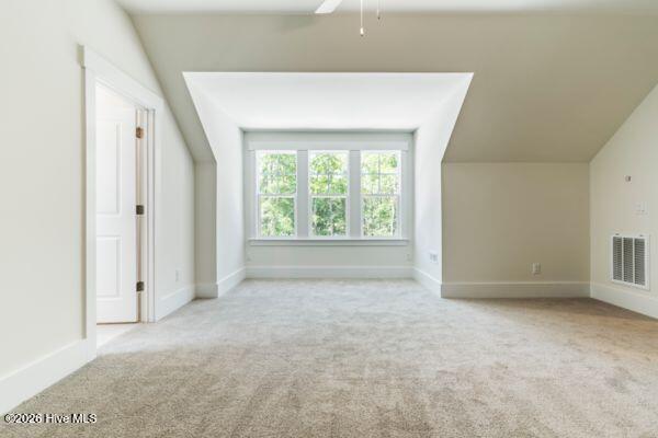 100556716 | Photo 19