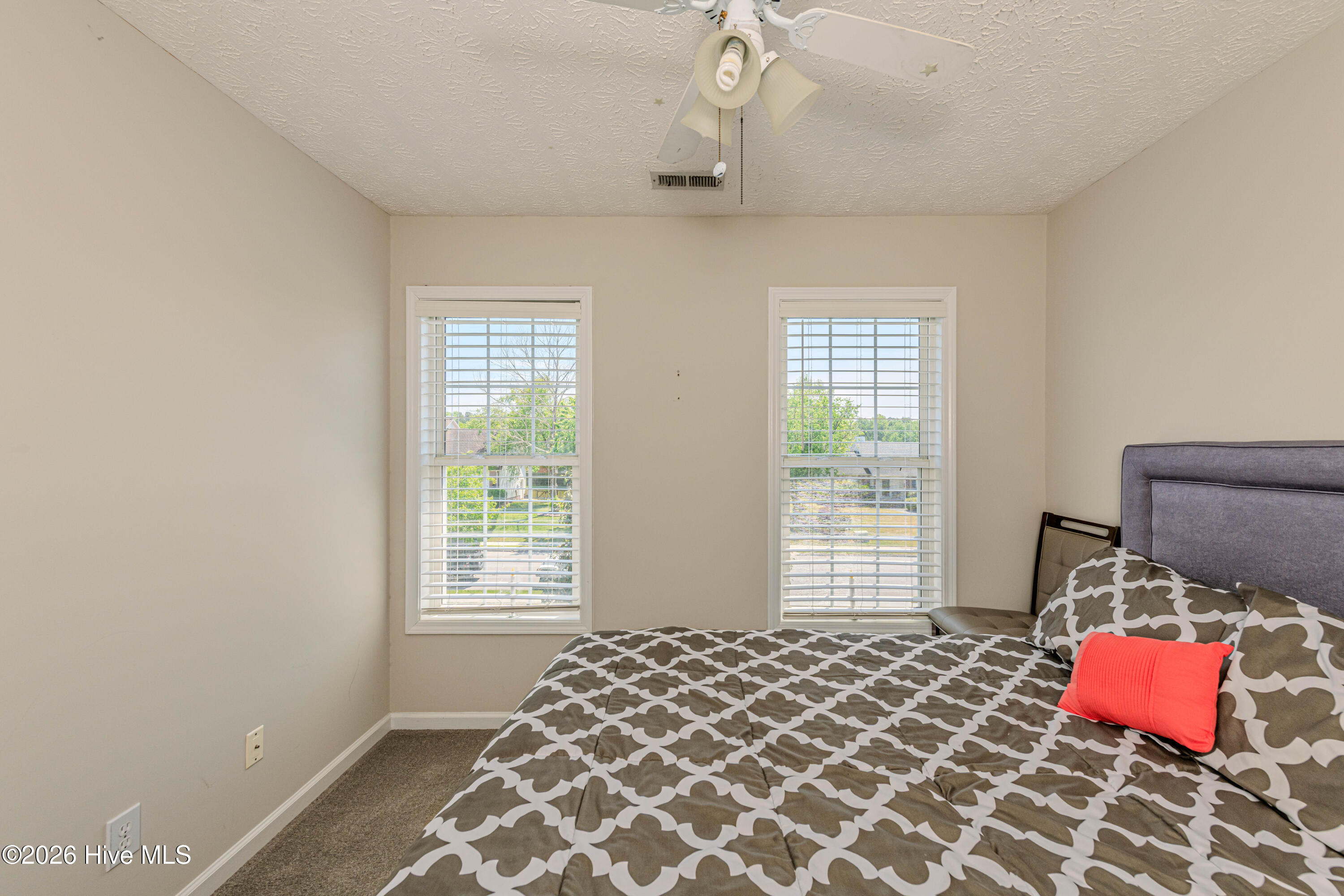 100569182 | Photo 38