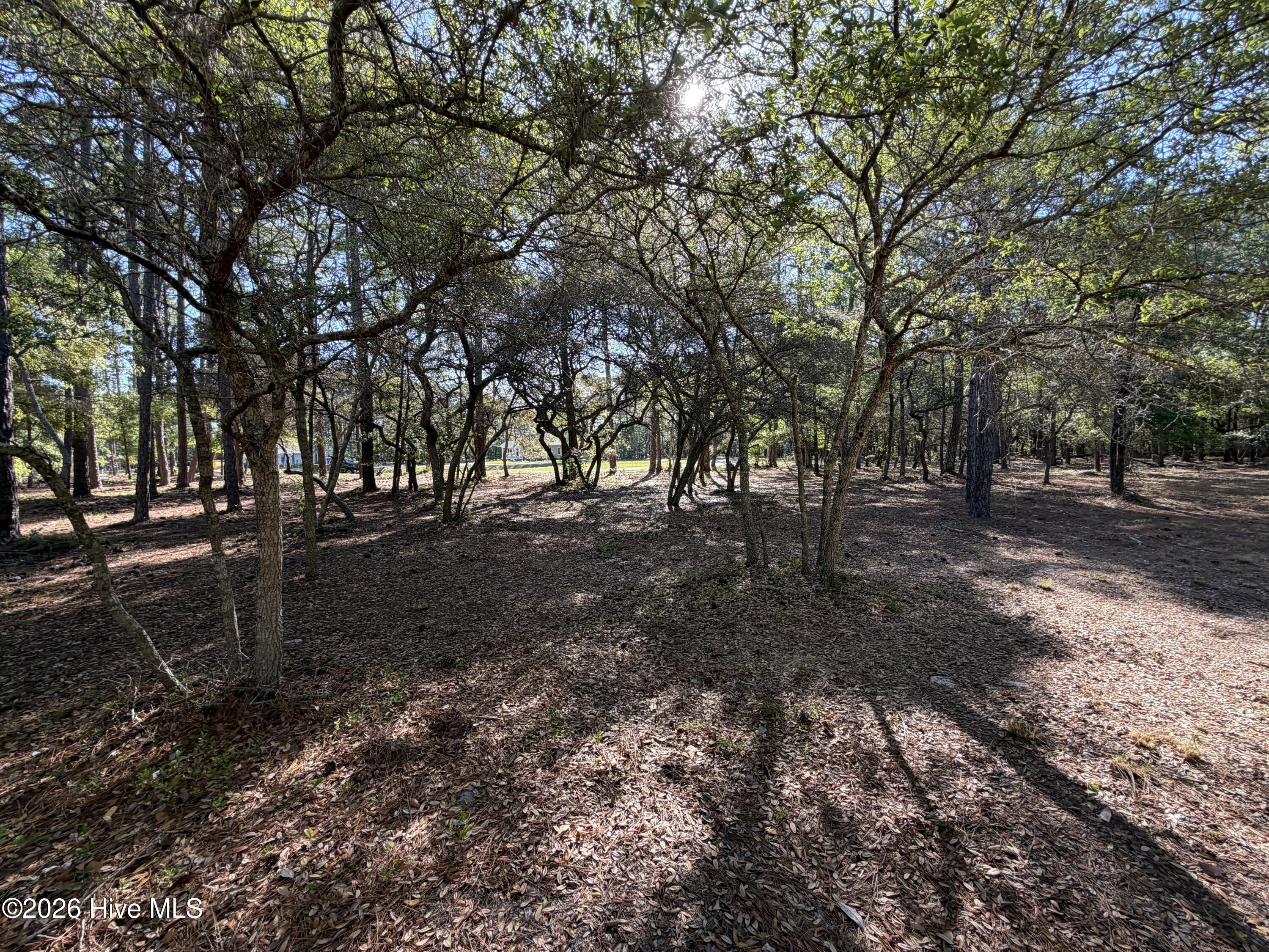 100569974 | Photo 22