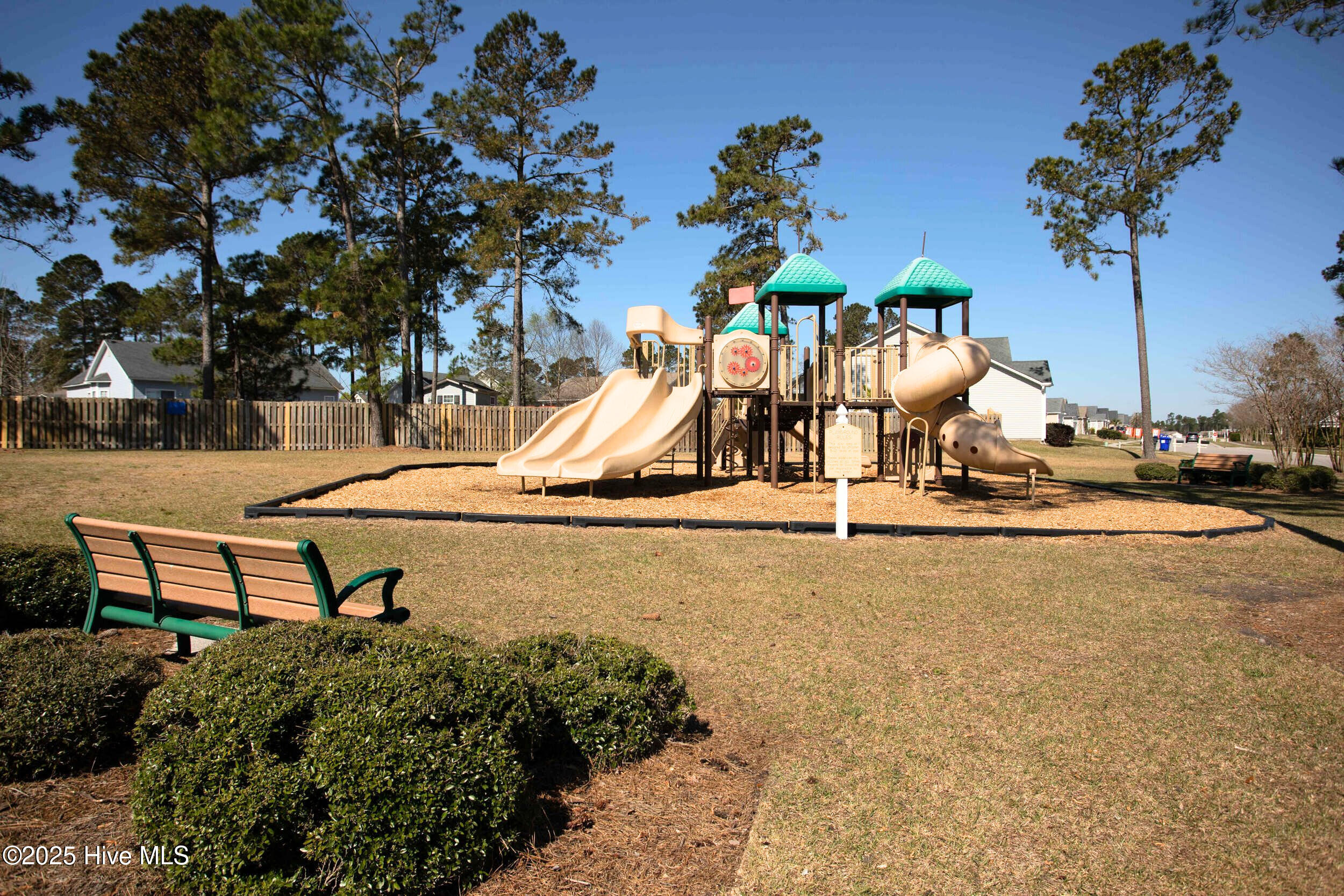 100531255 | Photo 51