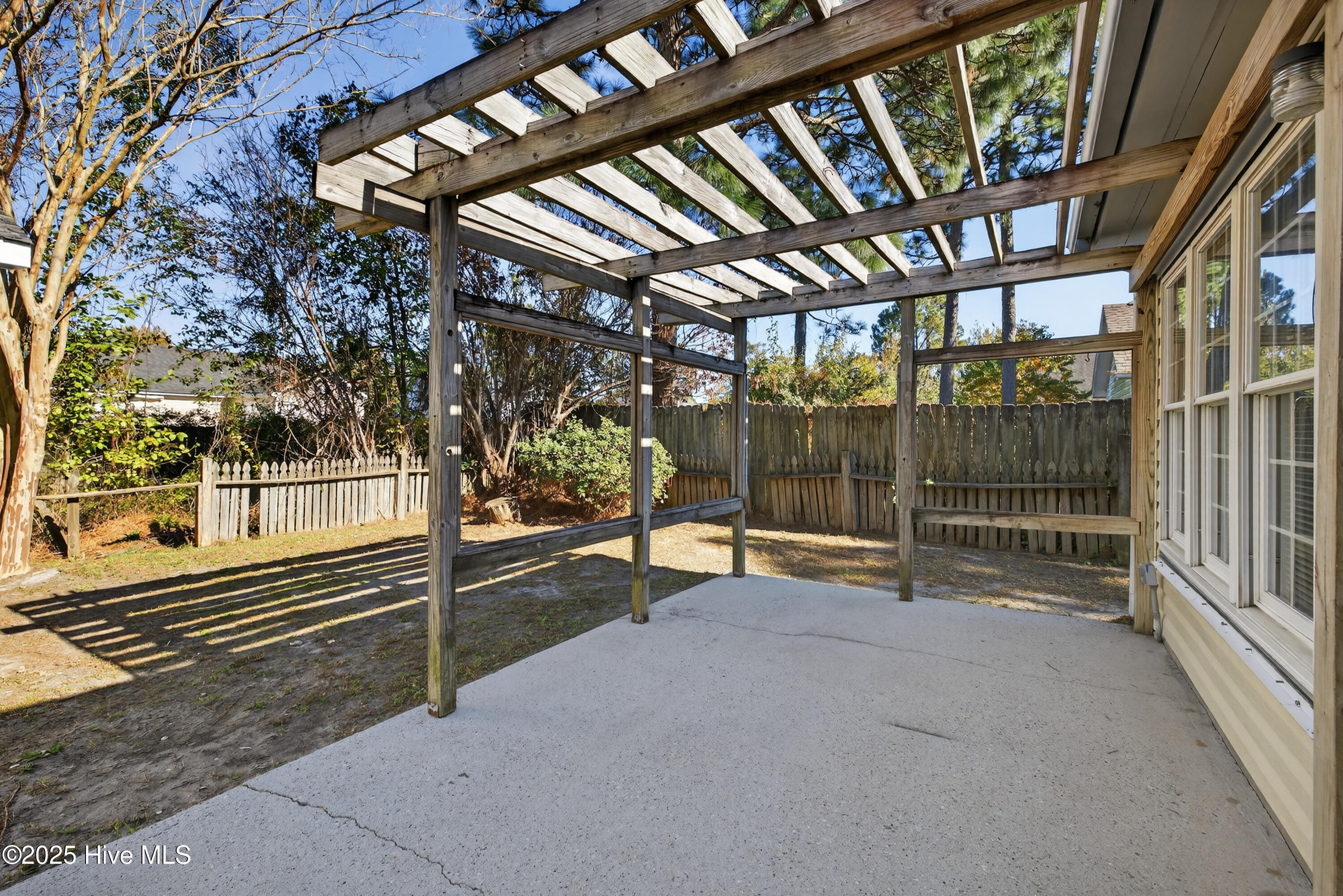 100541099 | Photo 33