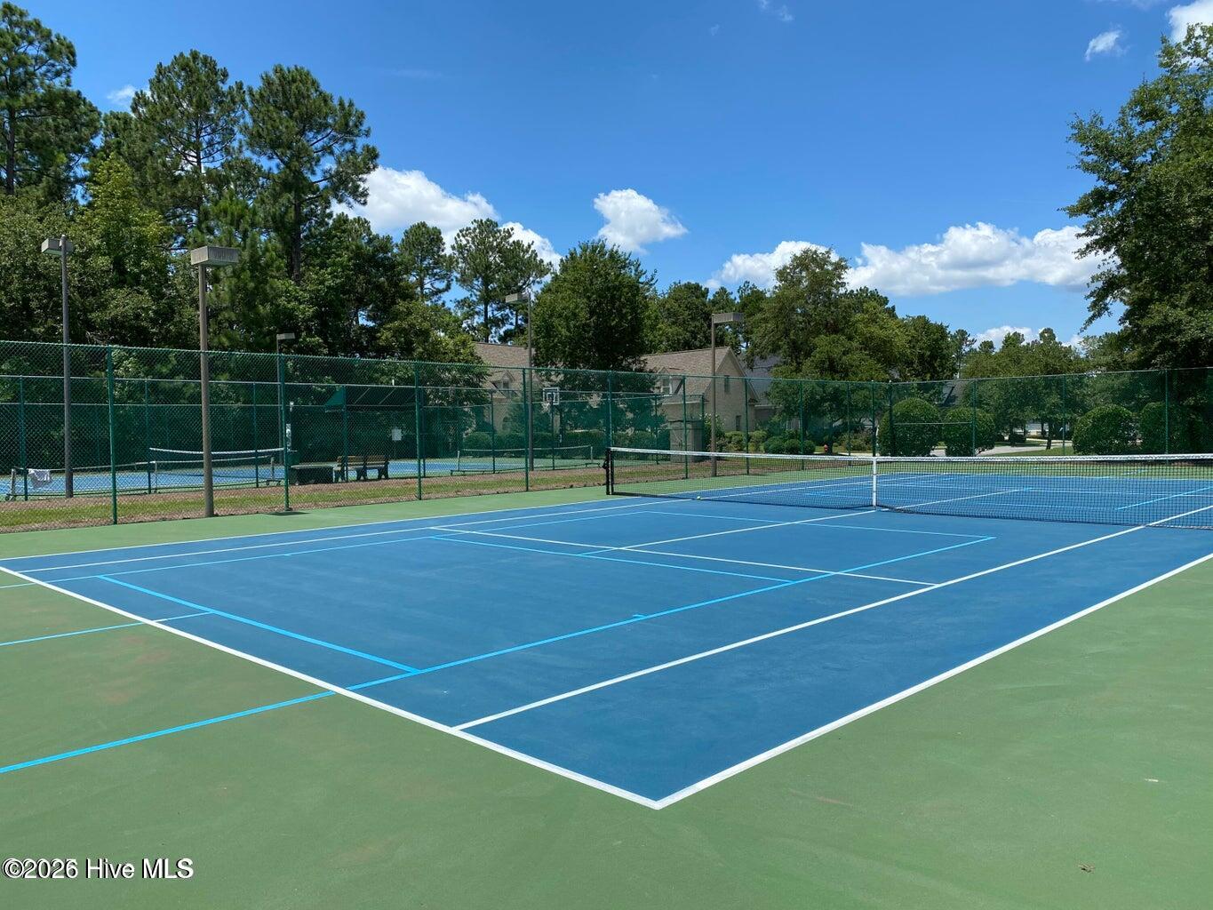 100557149 | Photo 76