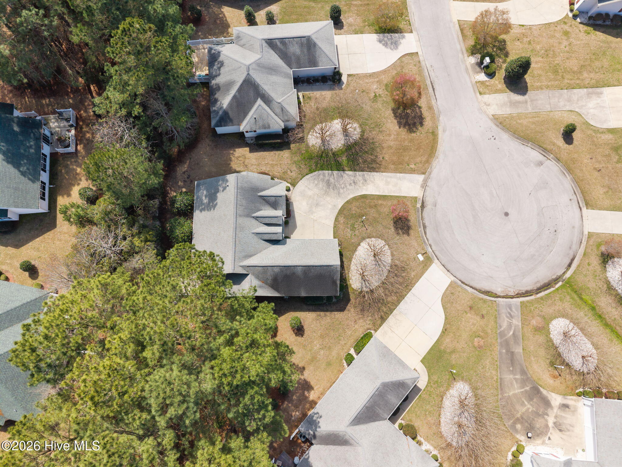 100560523 | Photo 10