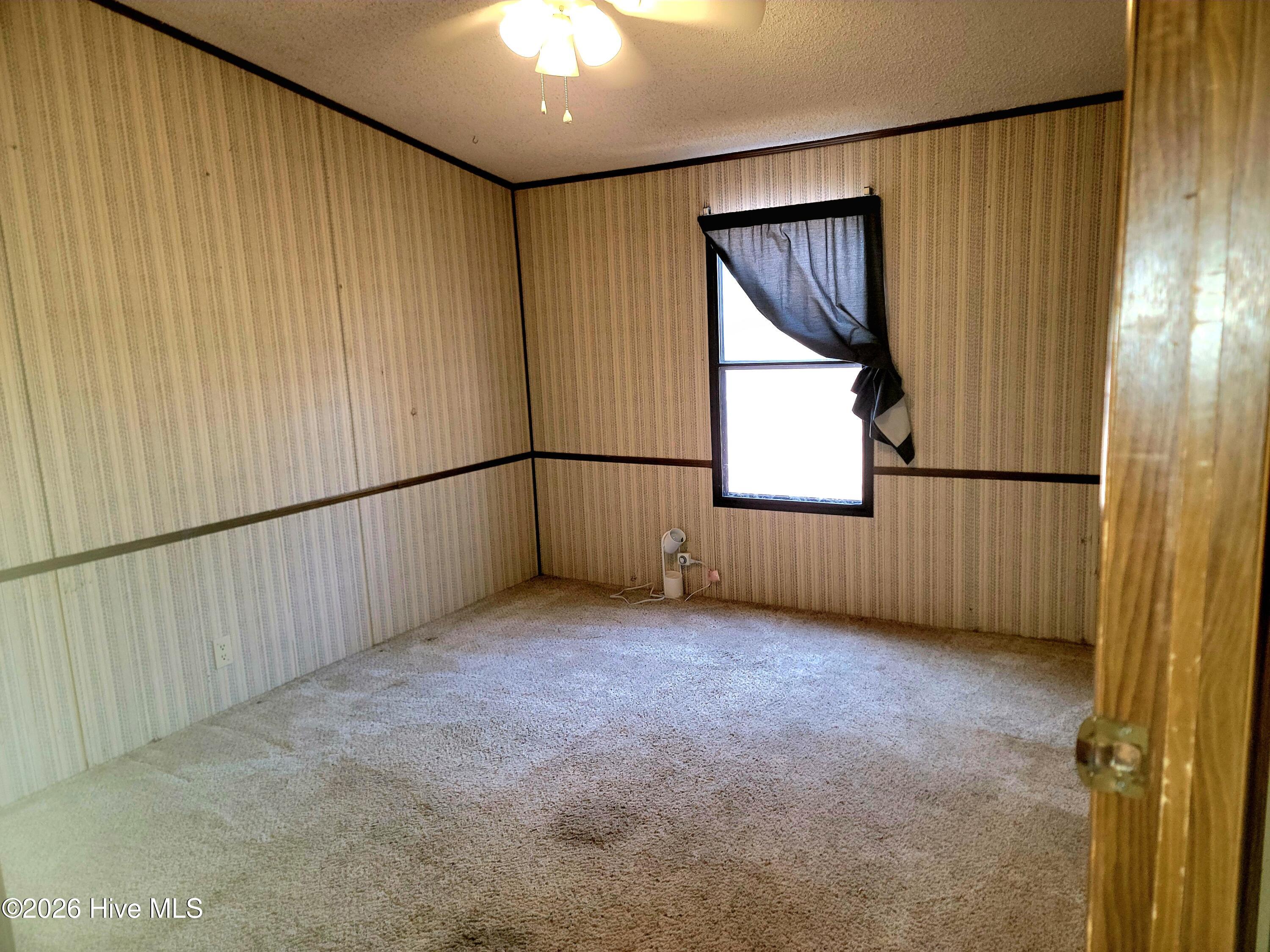 100551127 | Photo 30