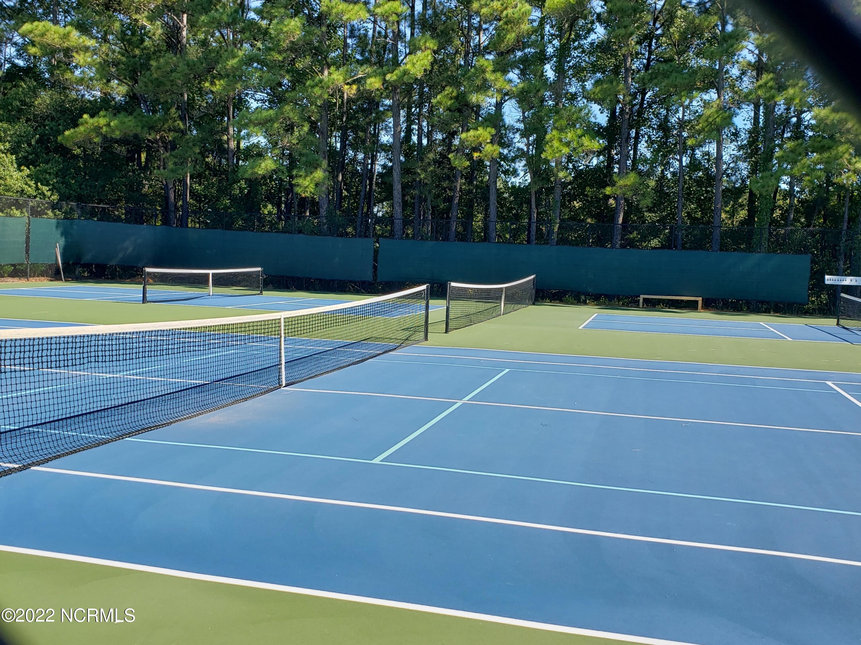 100555618 | Photo 12