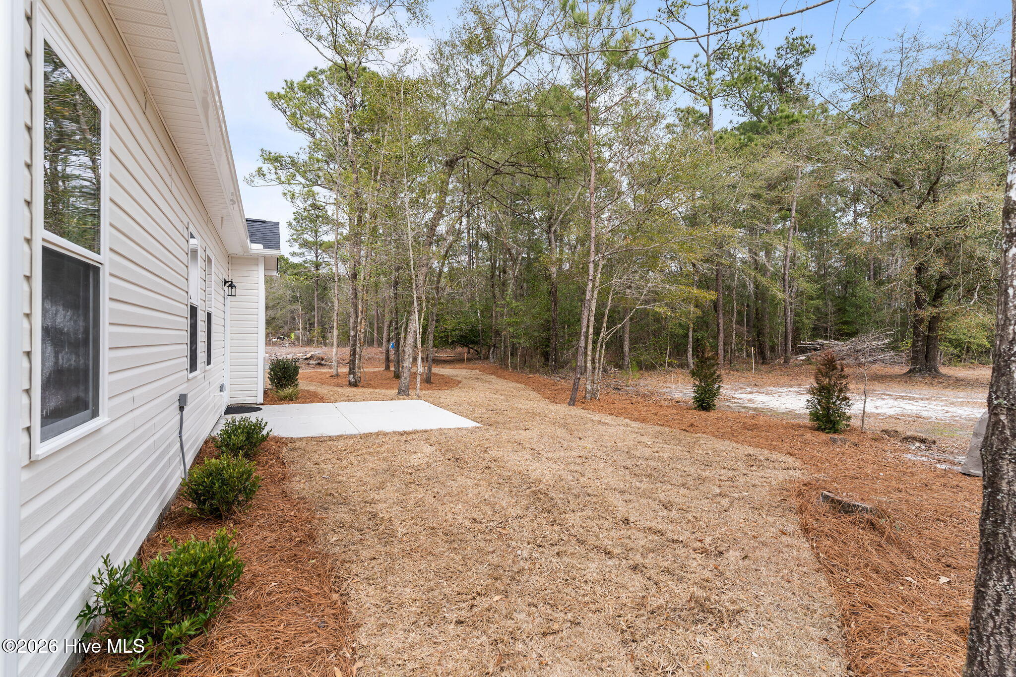 100558259 | Photo 42