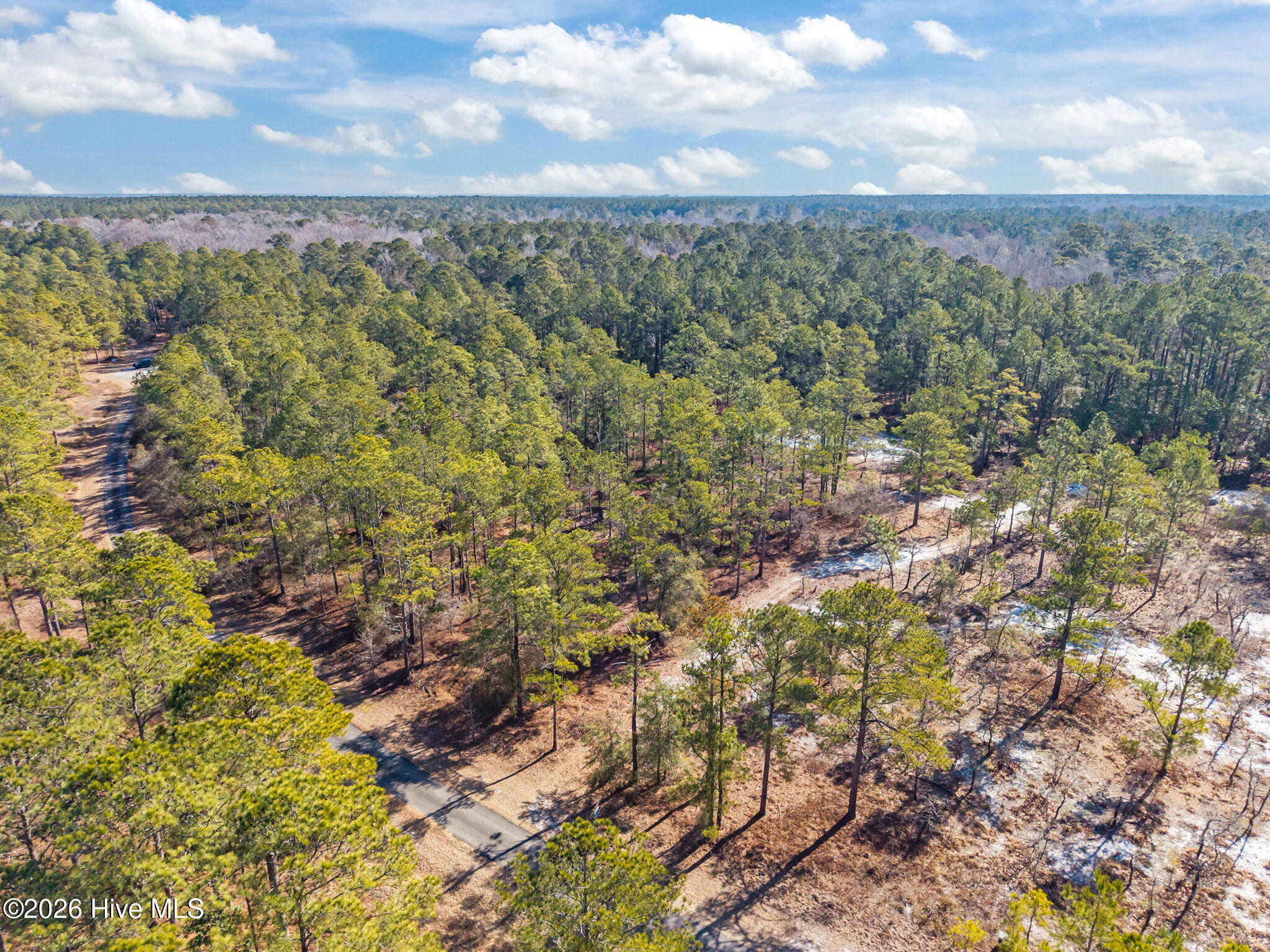 100554488 | Photo 17