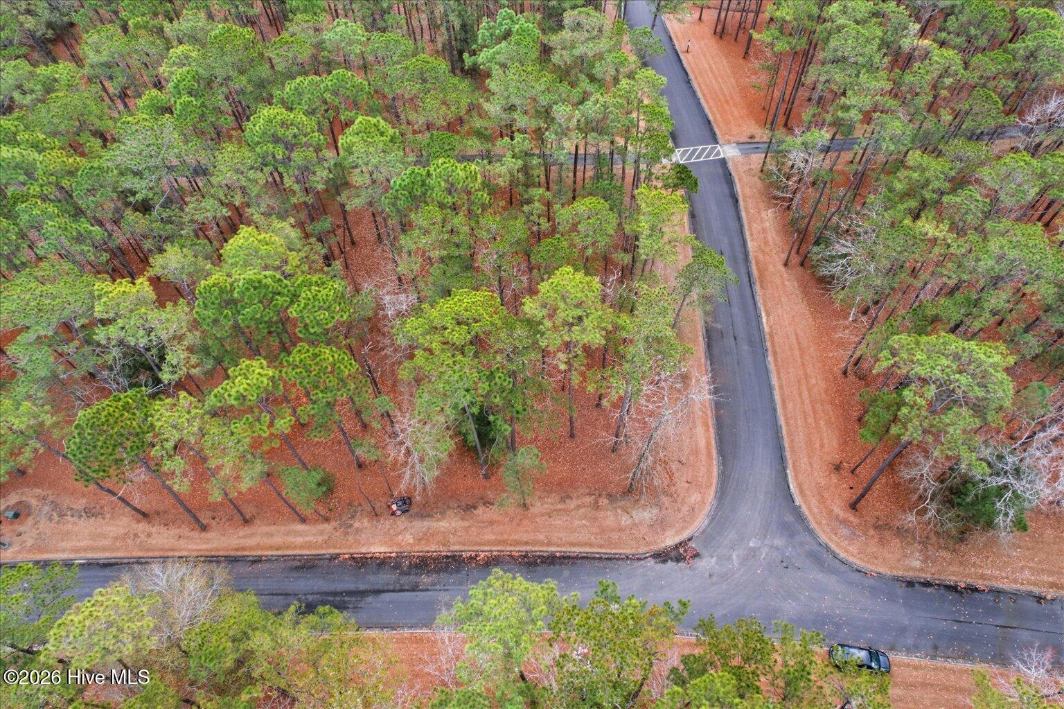 100555112 | Photo 26