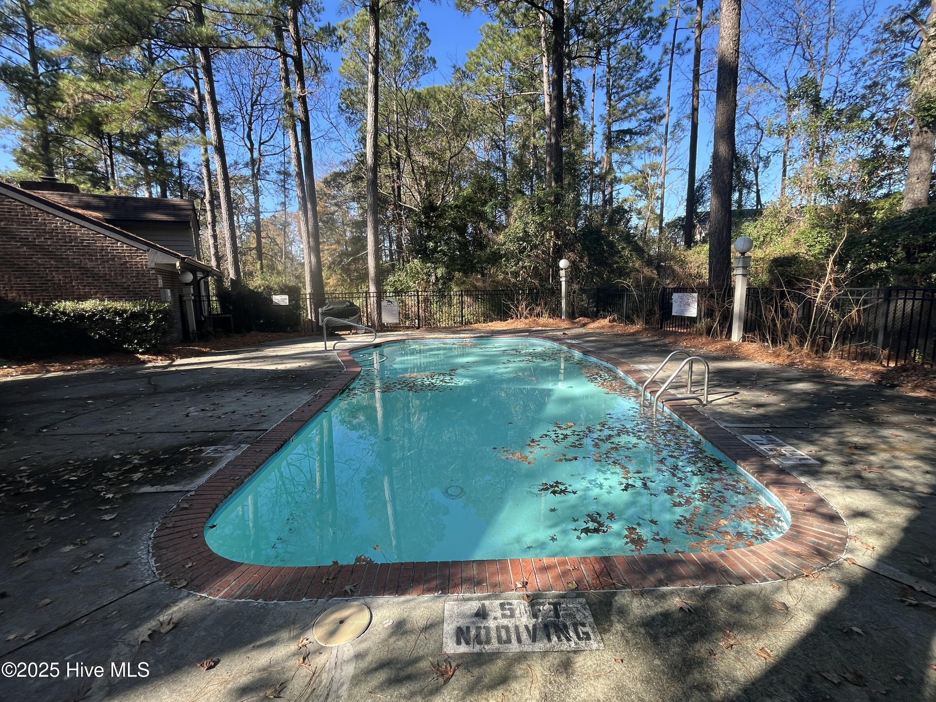 100546535 | Photo 61